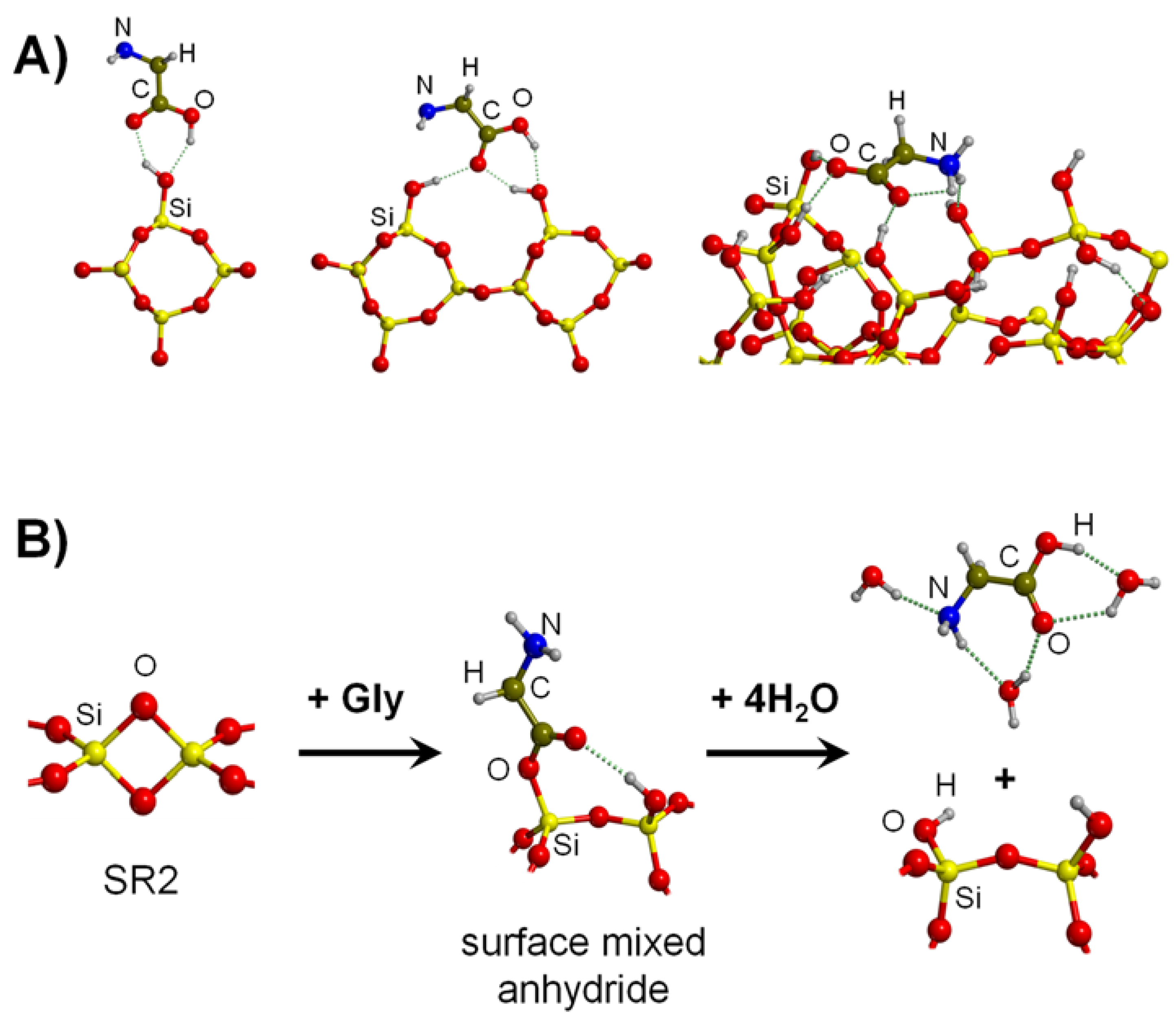 Ijms 23 04252 g004 Ijms 23 04252 g004