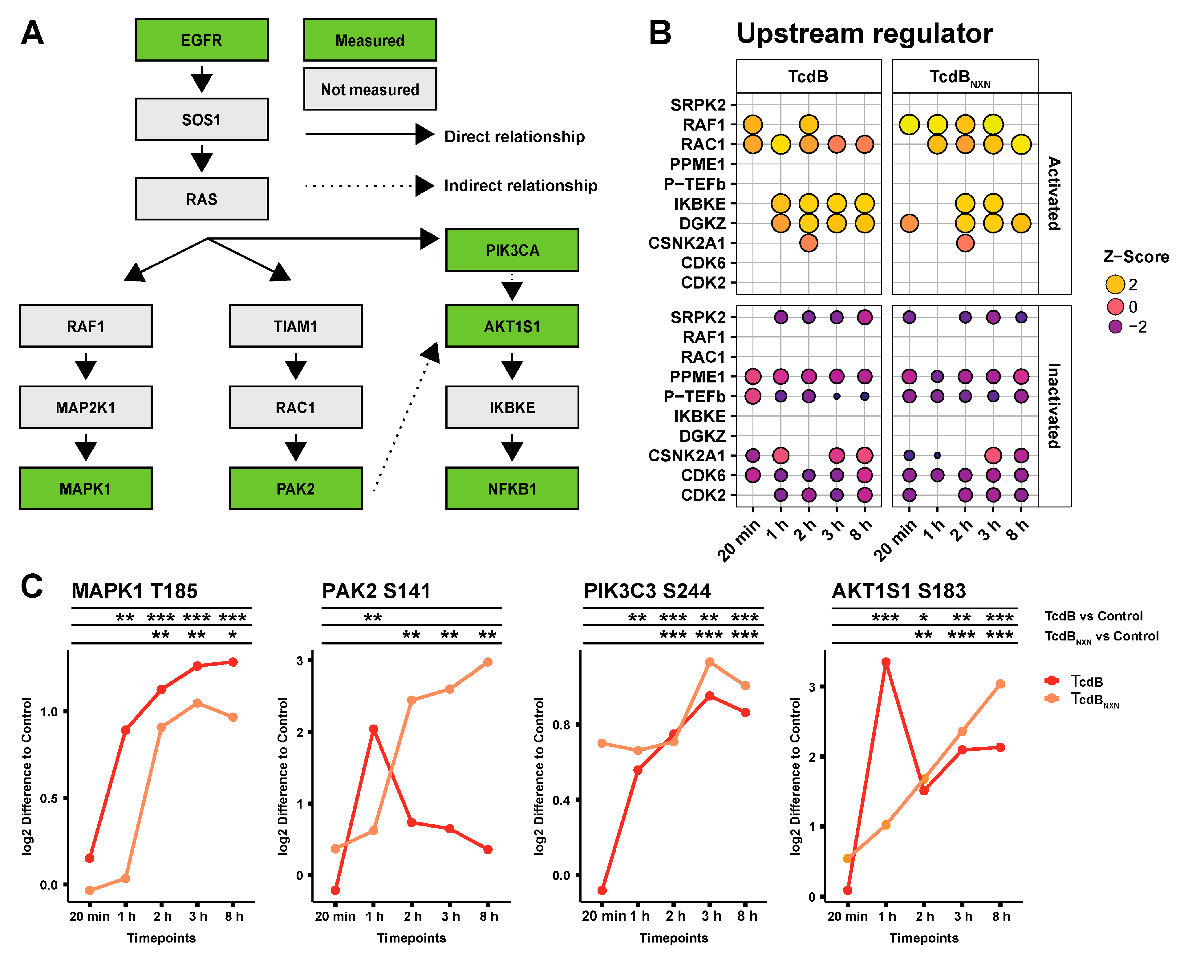 Ijms 23 04258 g003 Ijms 23 04258 g003