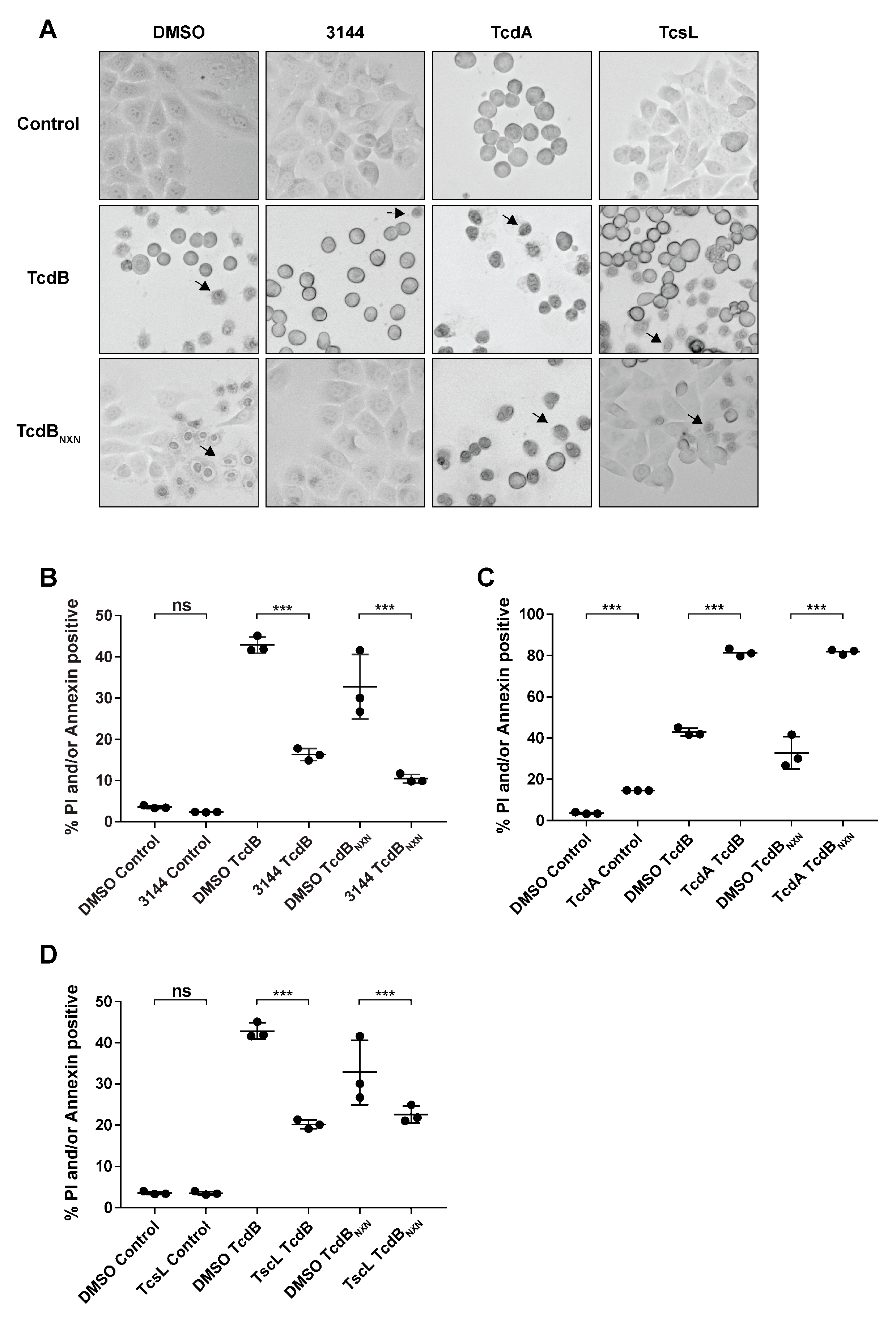 Ijms 23 04258 g004 Ijms 23 04258 g004