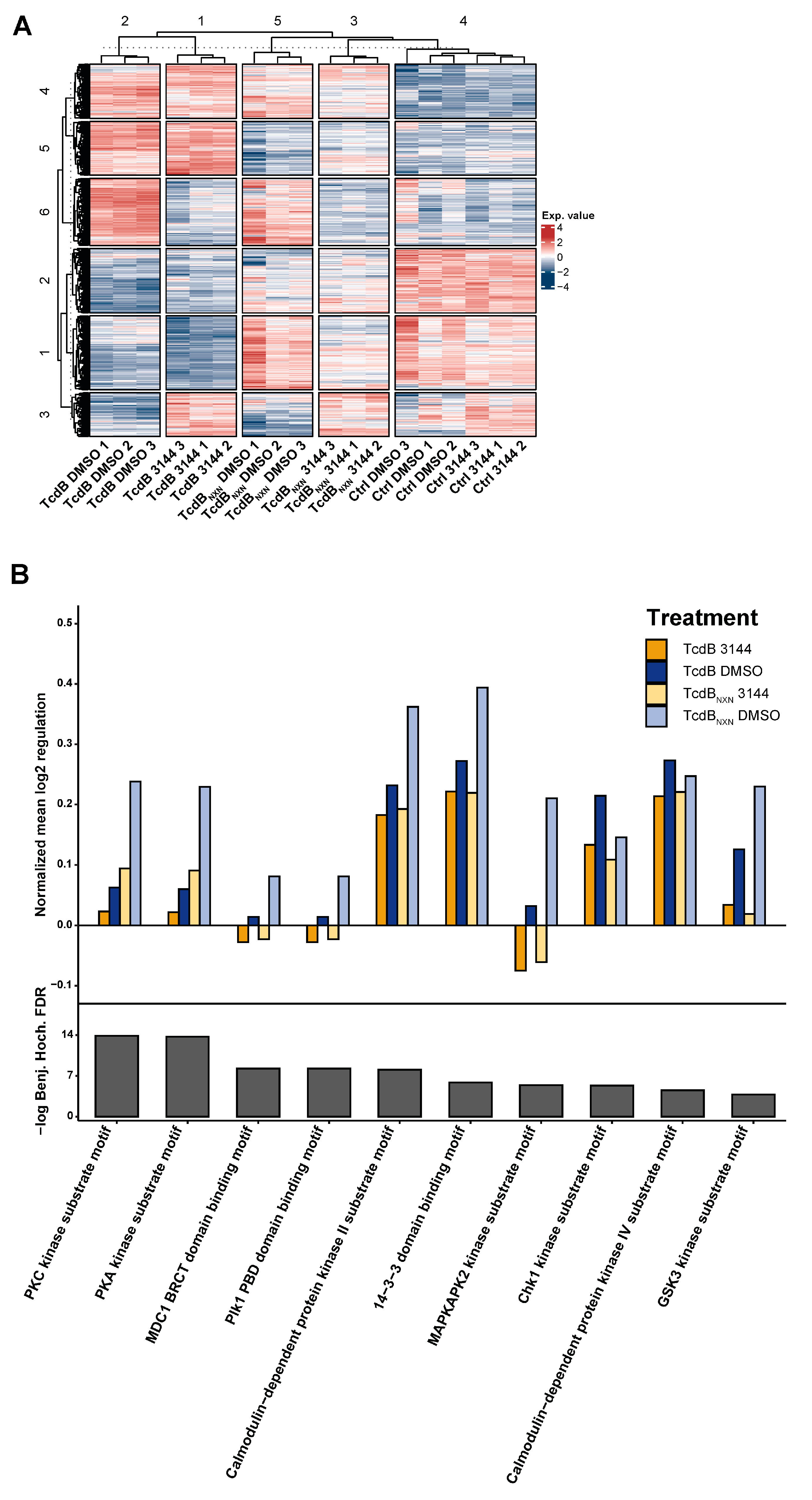 Ijms 23 04258 g006 Ijms 23 04258 g006