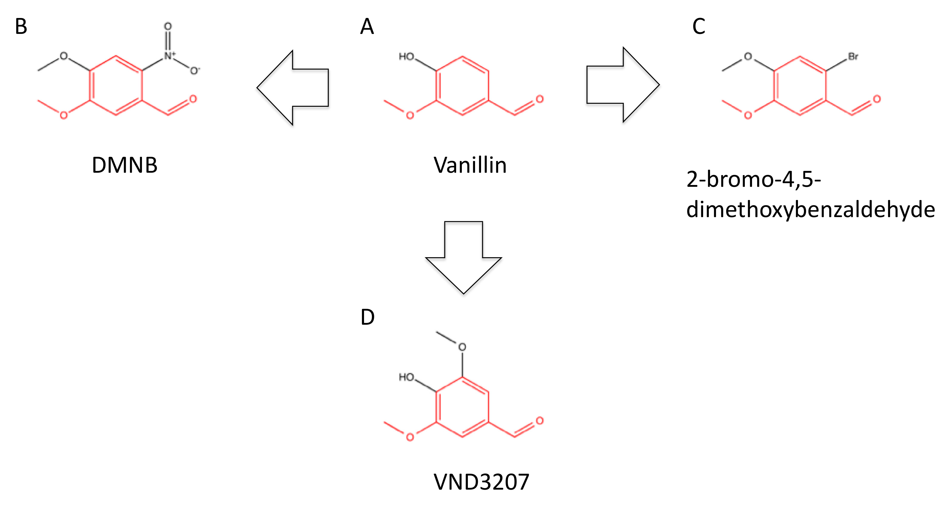Ijms 23 04264 g007 Ijms 23 04264 g007