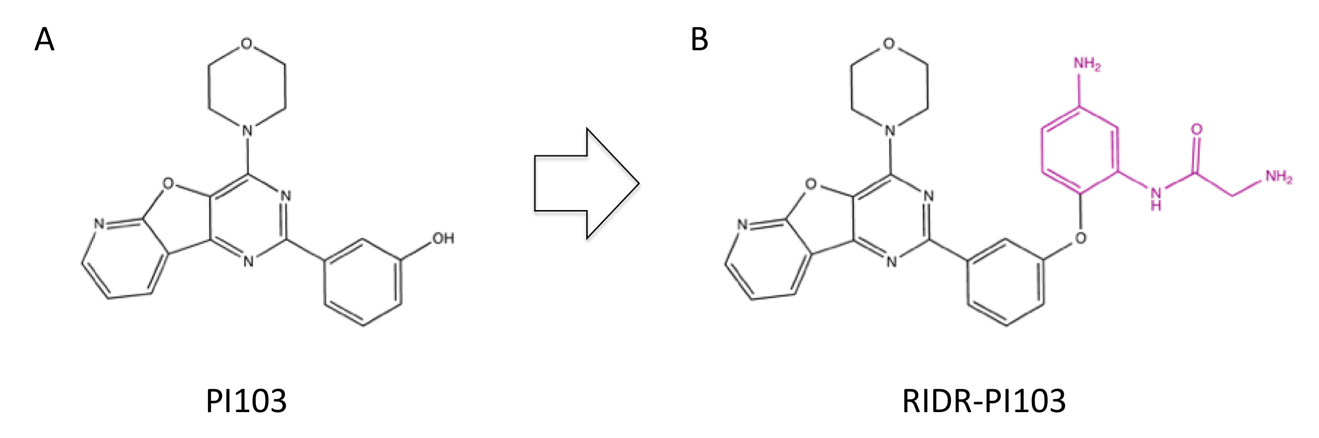 Ijms 23 04264 g009 Ijms 23 04264 g009