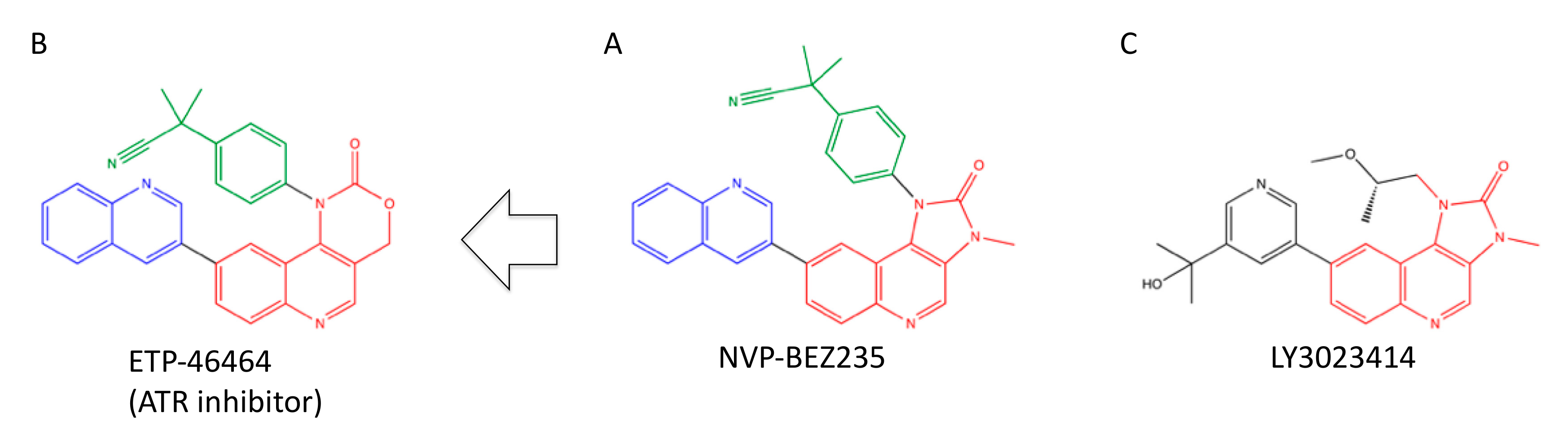Ijms 23 04264 g010 Ijms 23 04264 g010