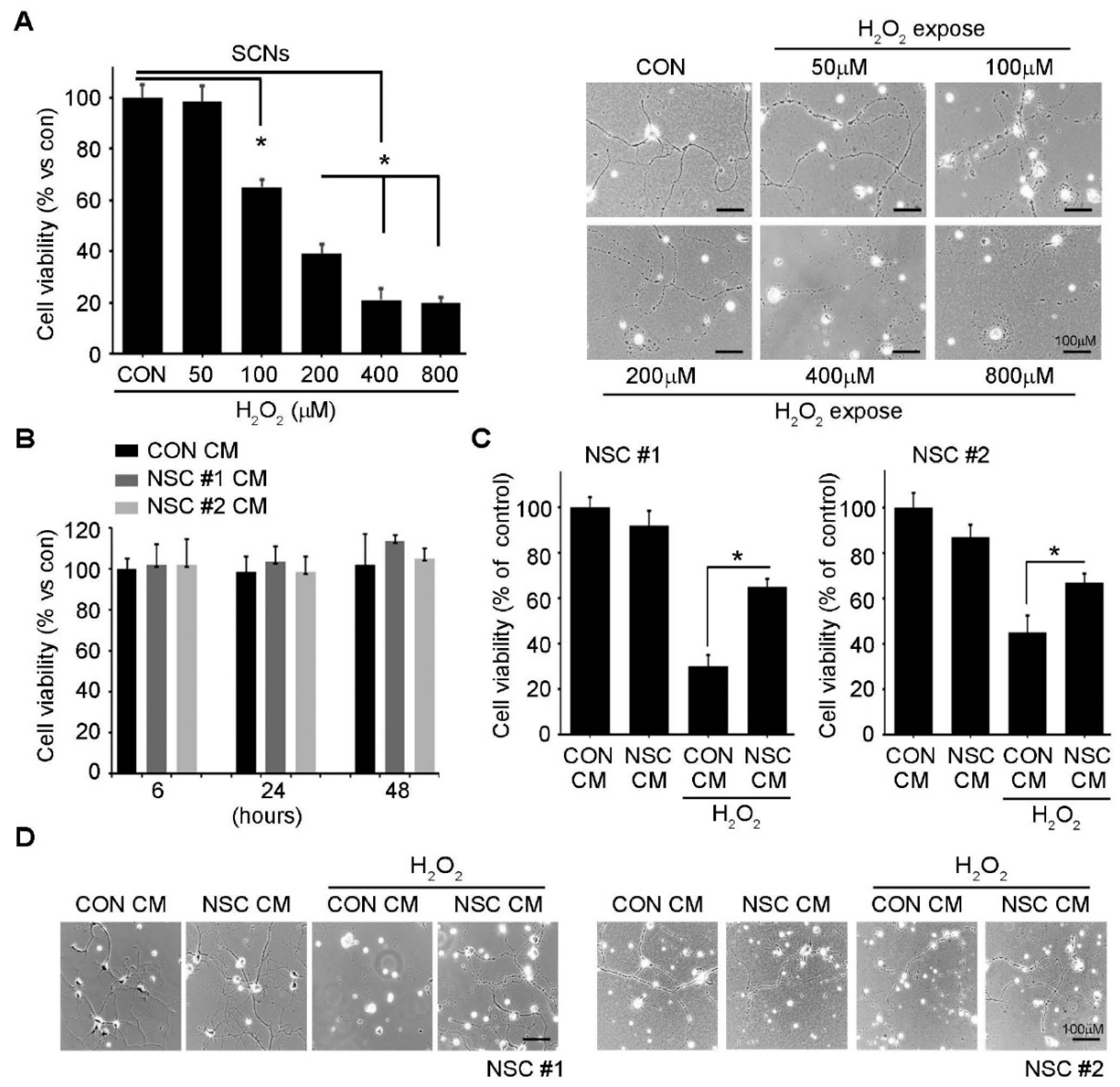 Ijms 23 04267 g004 550