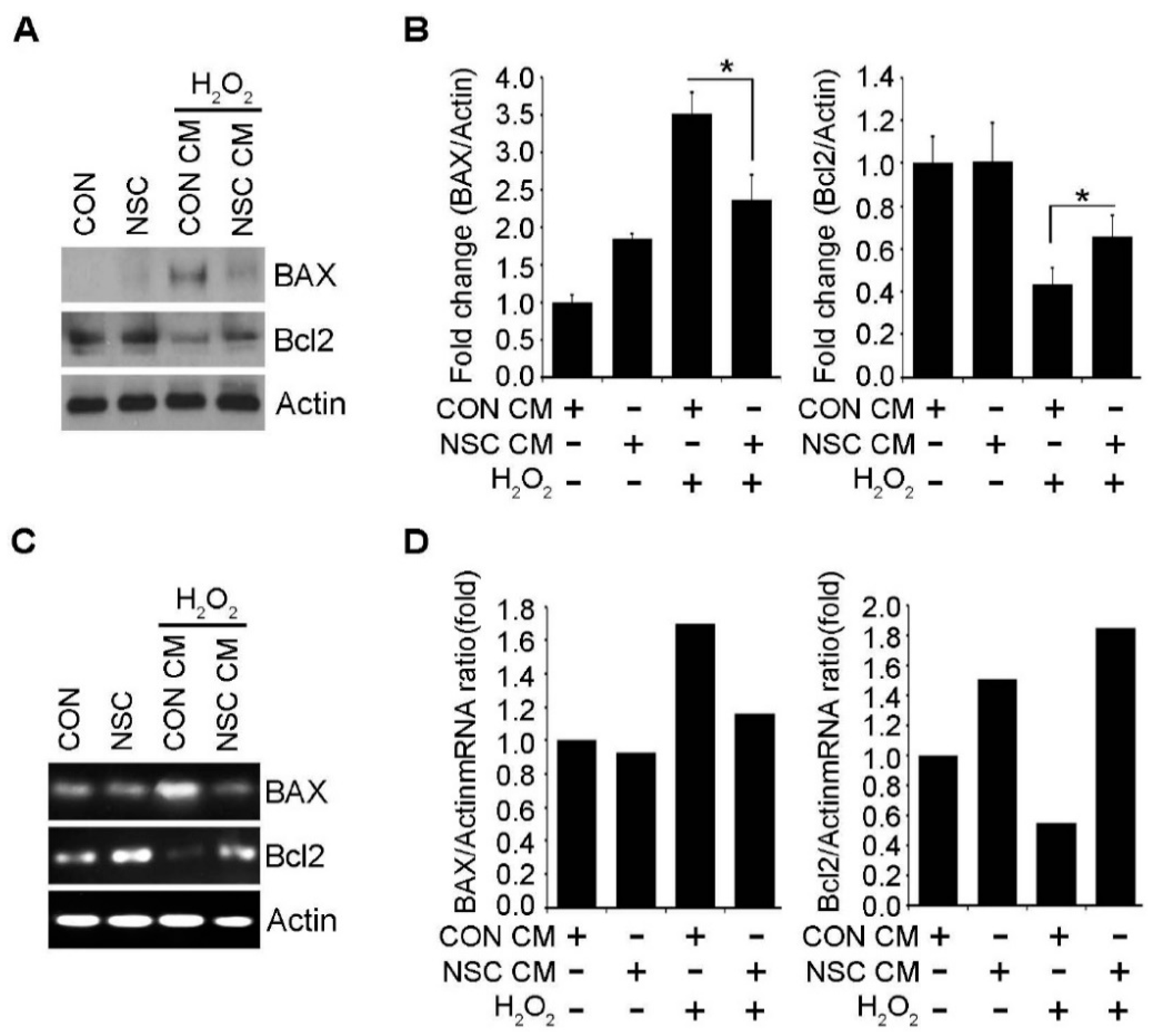 Ijms 23 04267 g006 550
