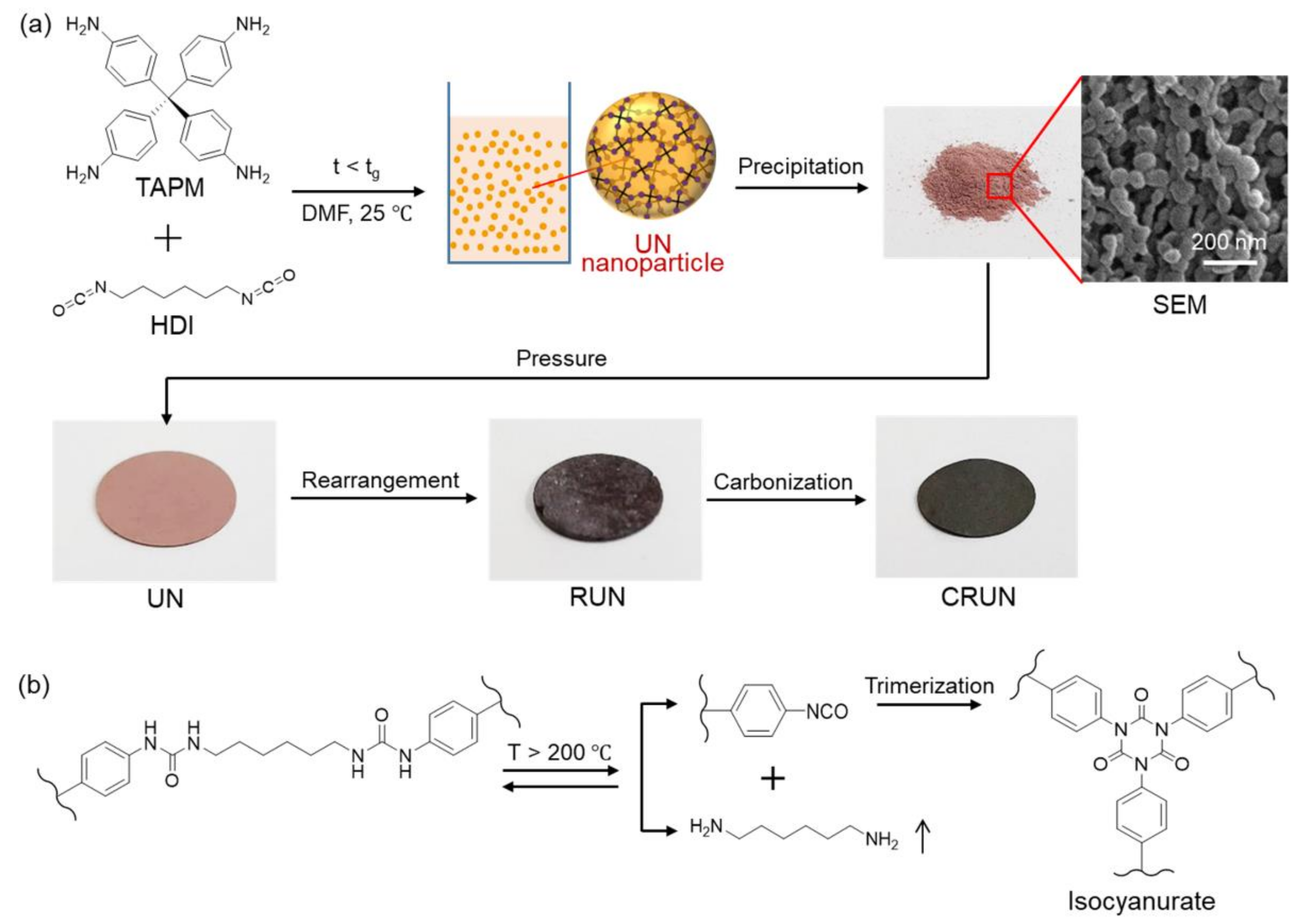 Ijms 23 04271 g001 550