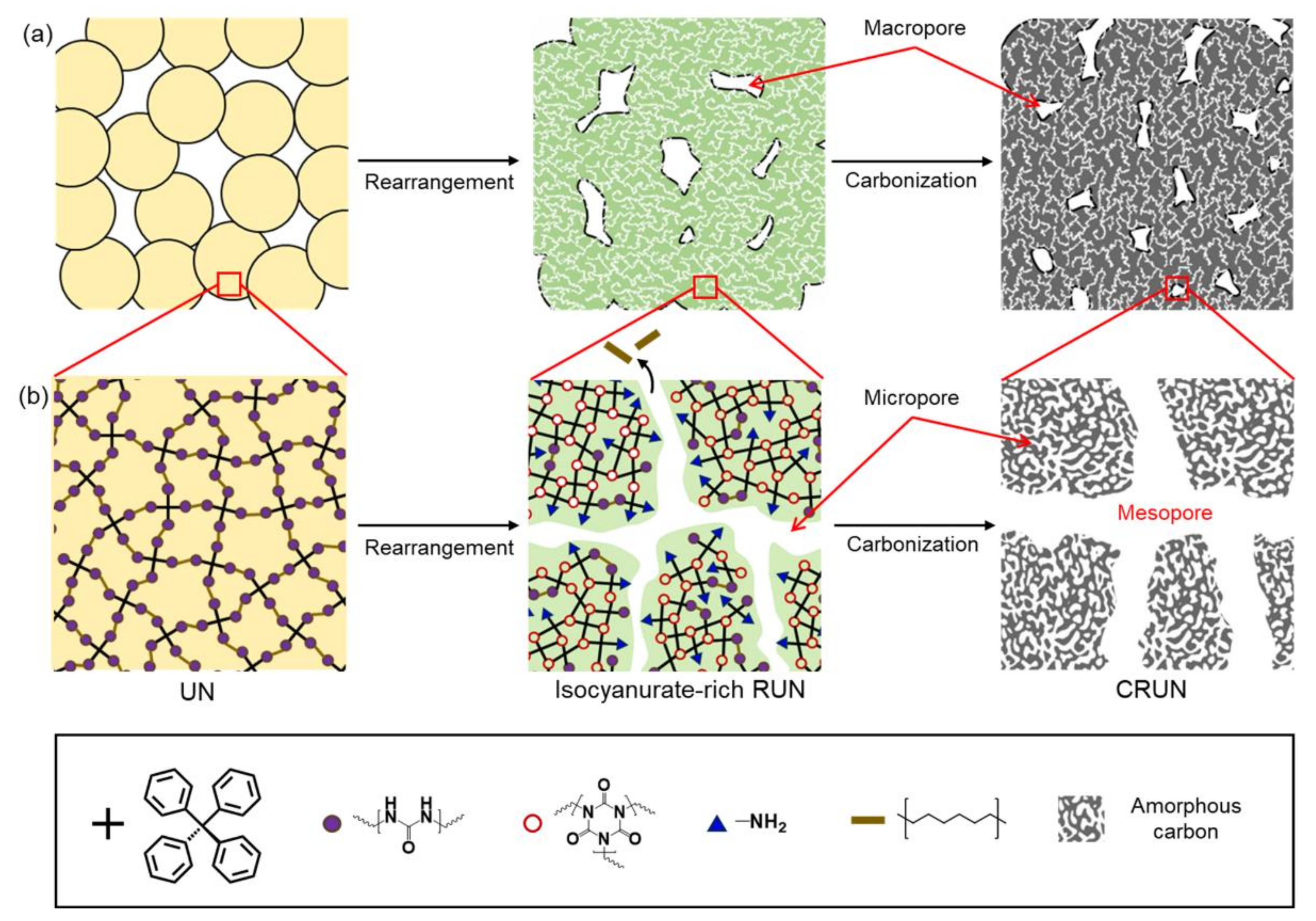 Ijms 23 04271 g005 550