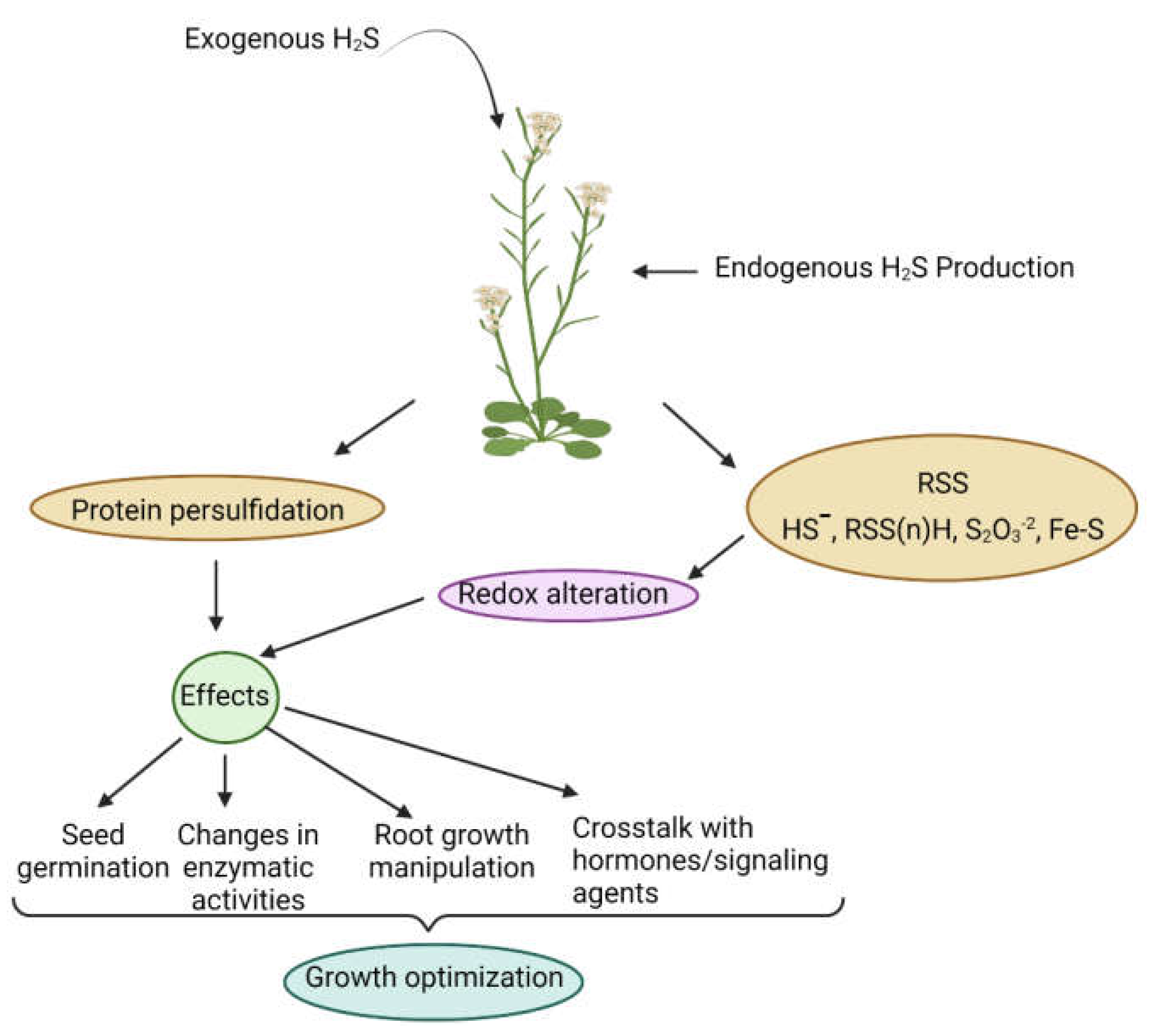 Ijms 23 04272 g001 550