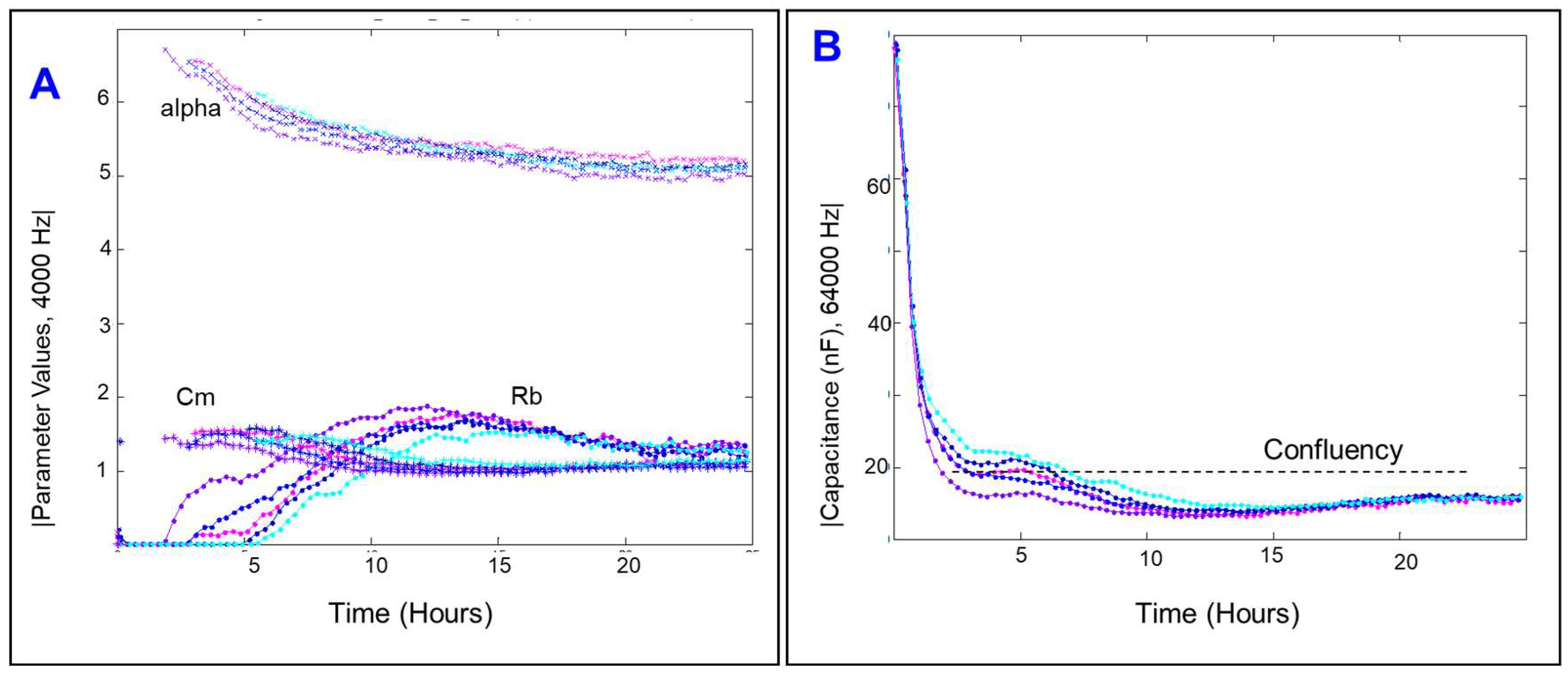 Ijms 23 04274 g006 550