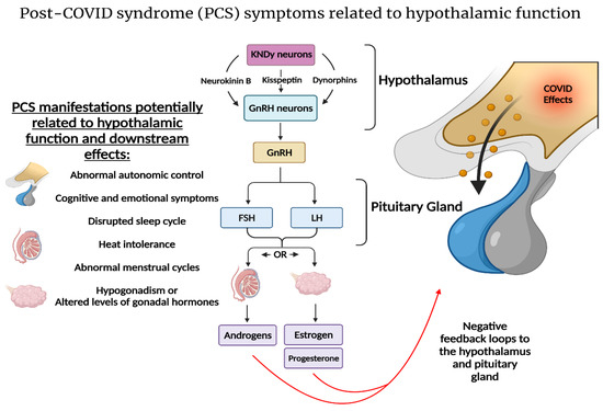 Dissecting the Molecular Mechanisms Surrounding Post-COVID-19 Syndrome and  Neurological Features
