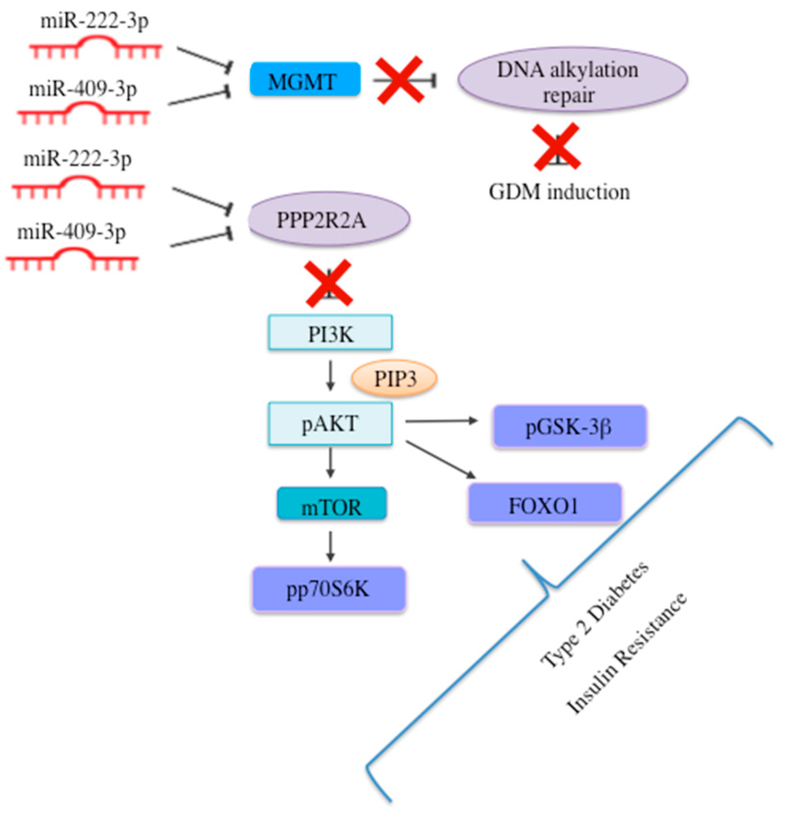 Ijms 23 04276 g006 550