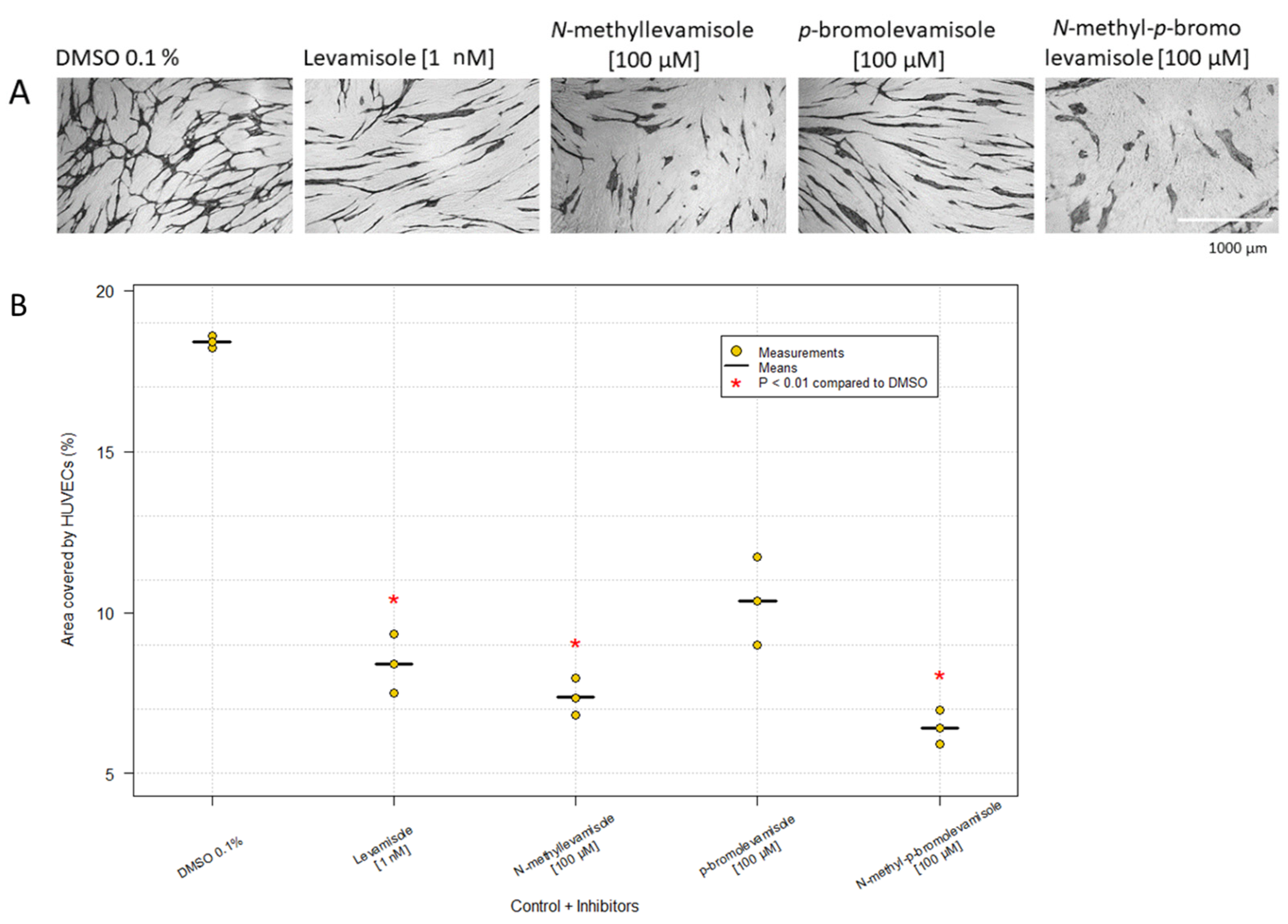 Ijms 23 04277 g003 550