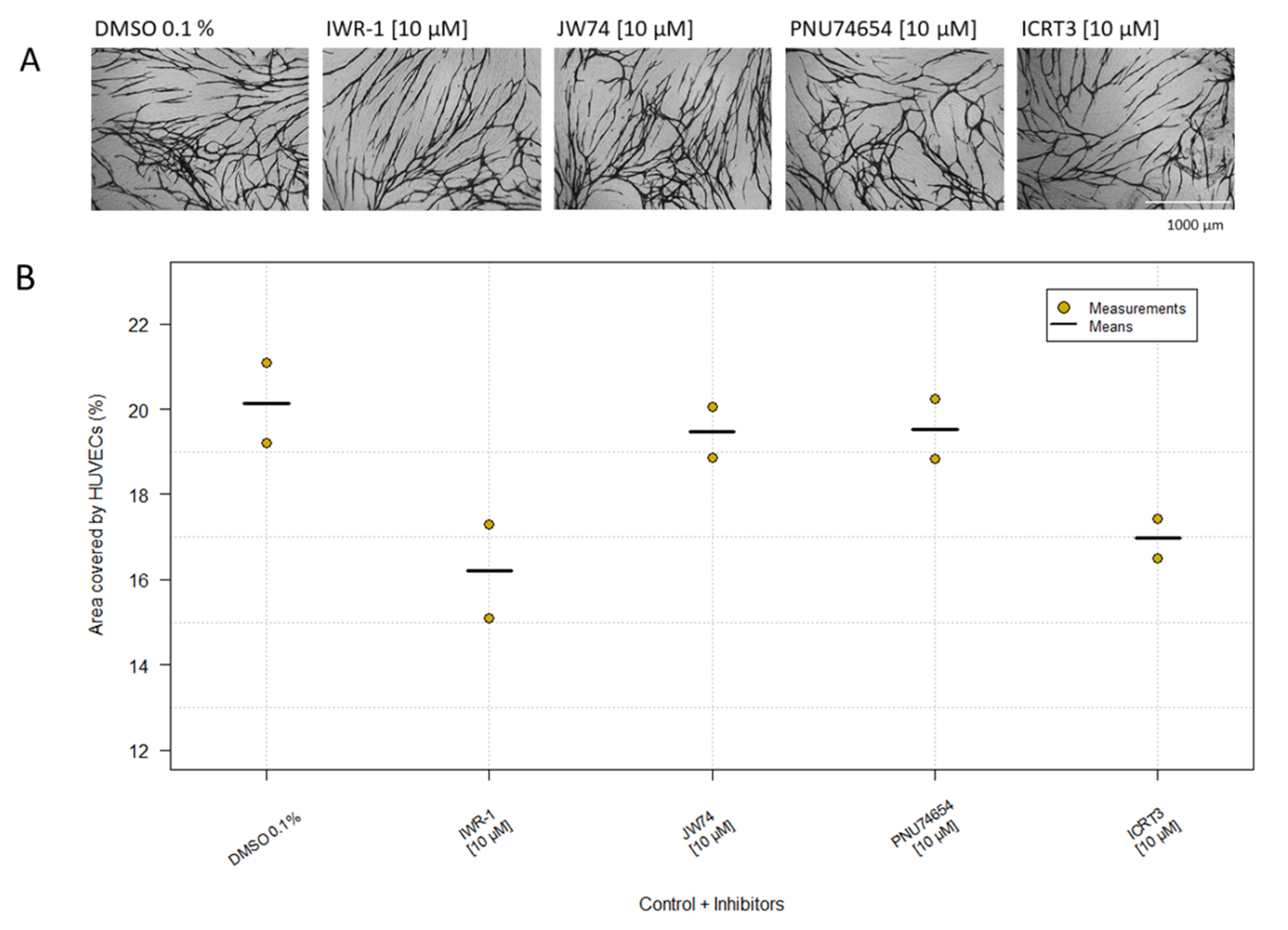 Ijms 23 04277 g004 550