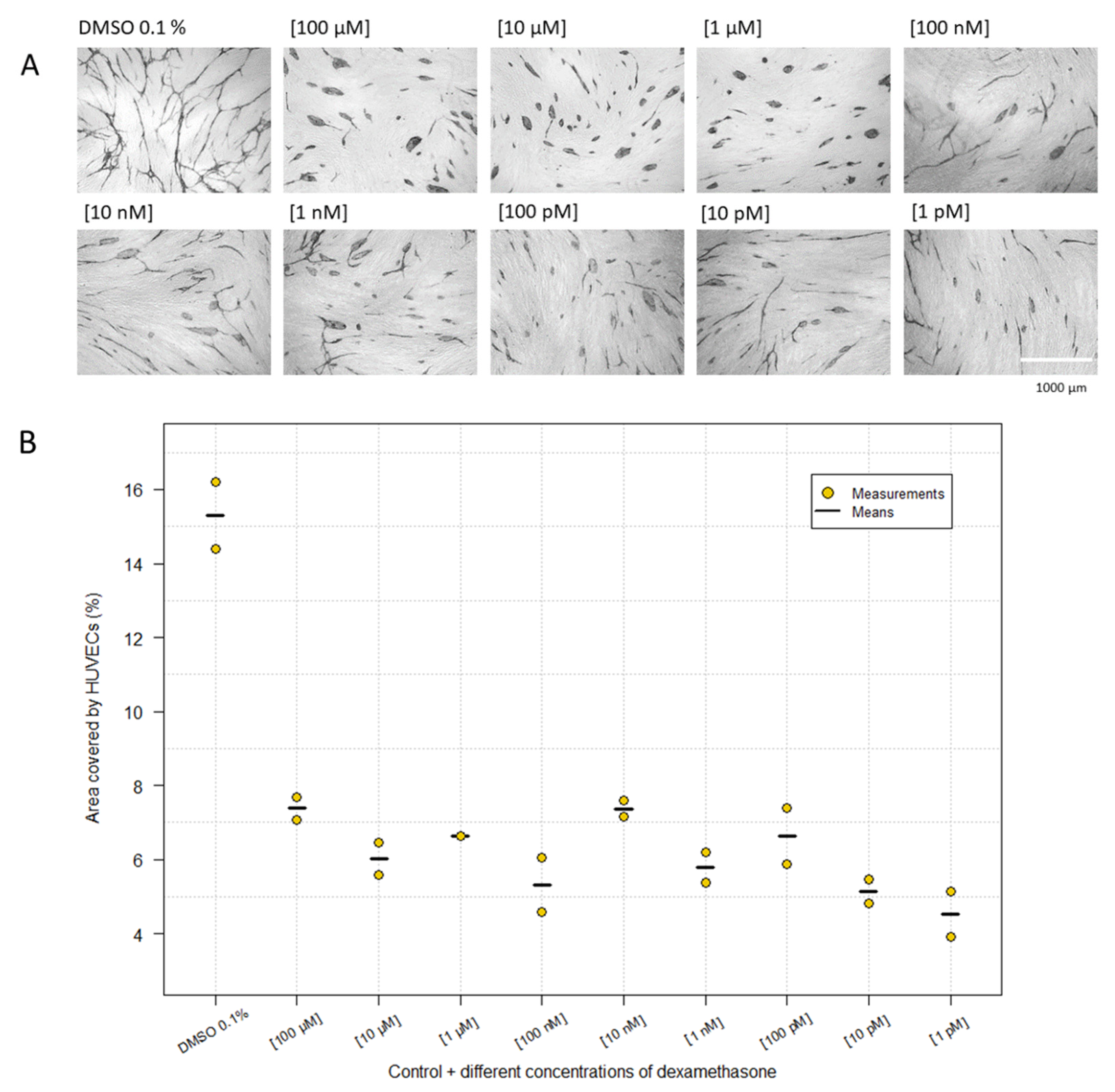 Ijms 23 04277 g005 550