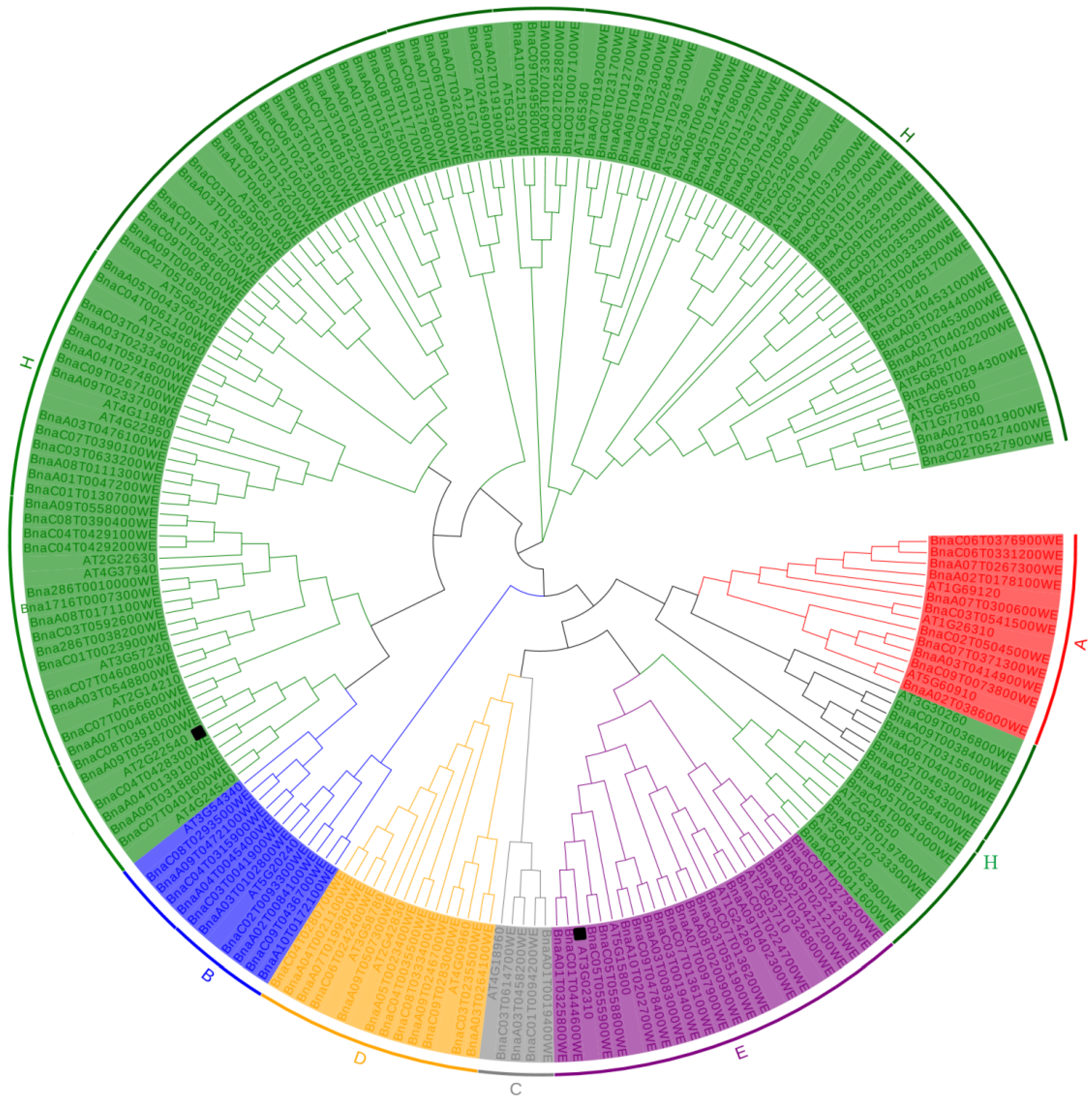 Ijms 23 04289 g001 550
