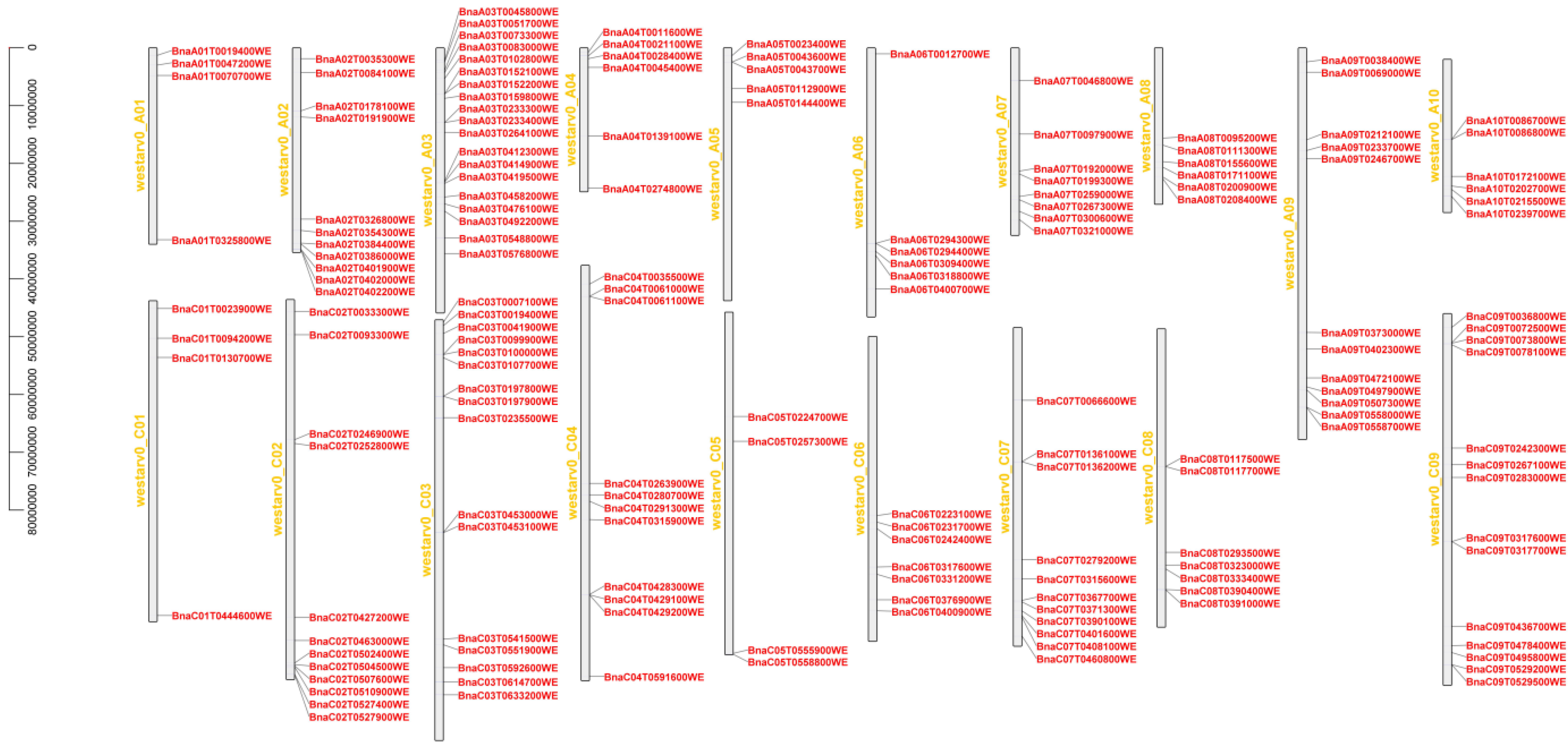 Ijms 23 04289 g002 550