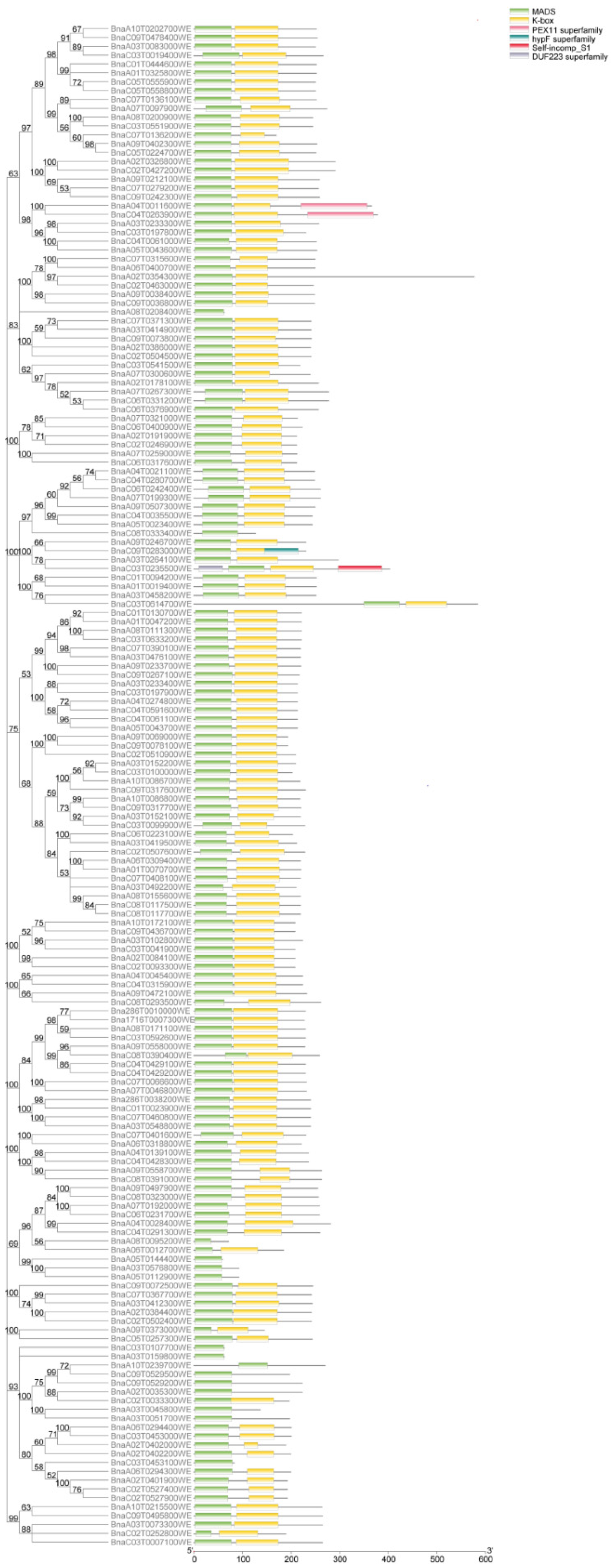 Ijms 23 04289 g003 550