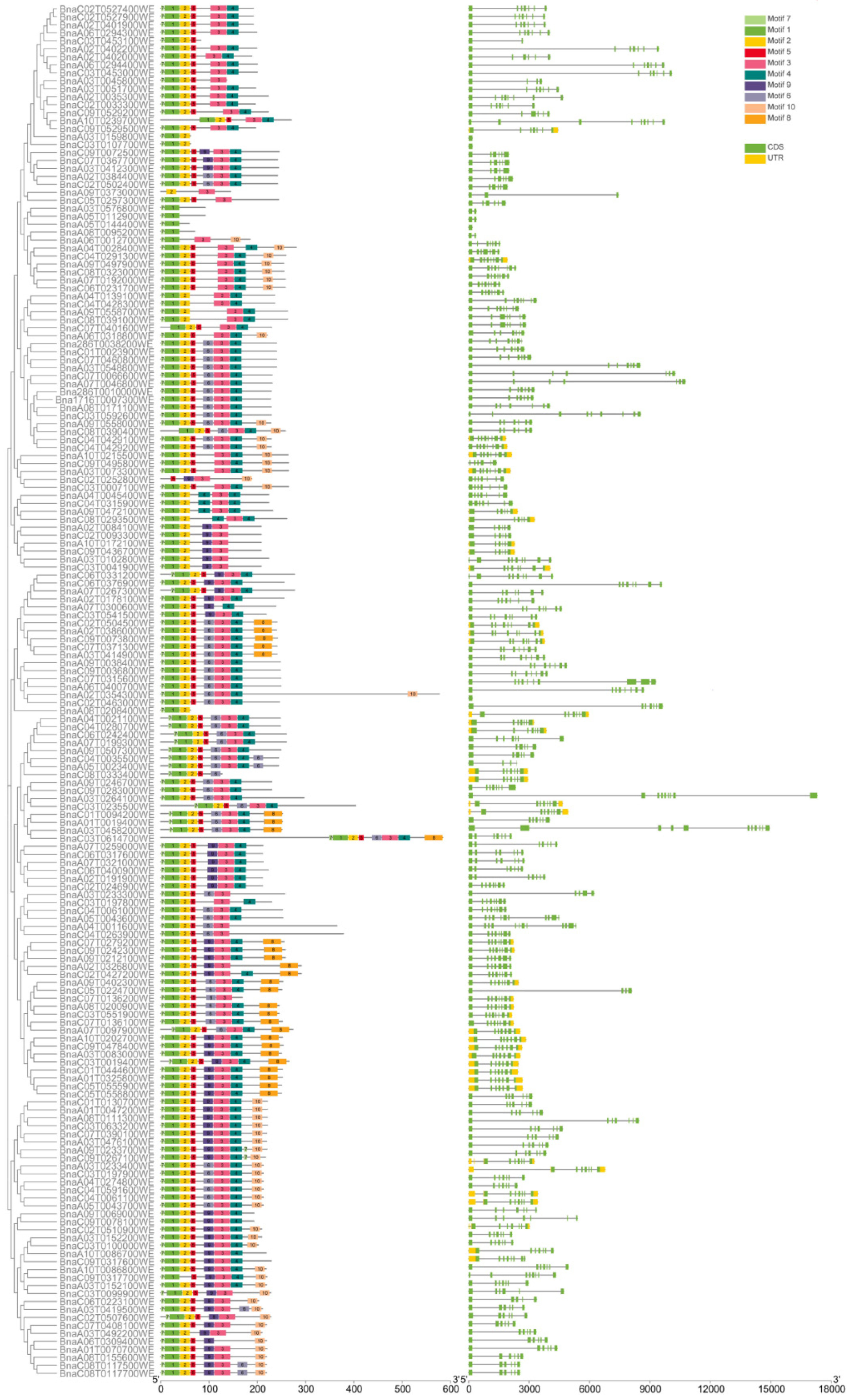 Ijms 23 04289 g004 550