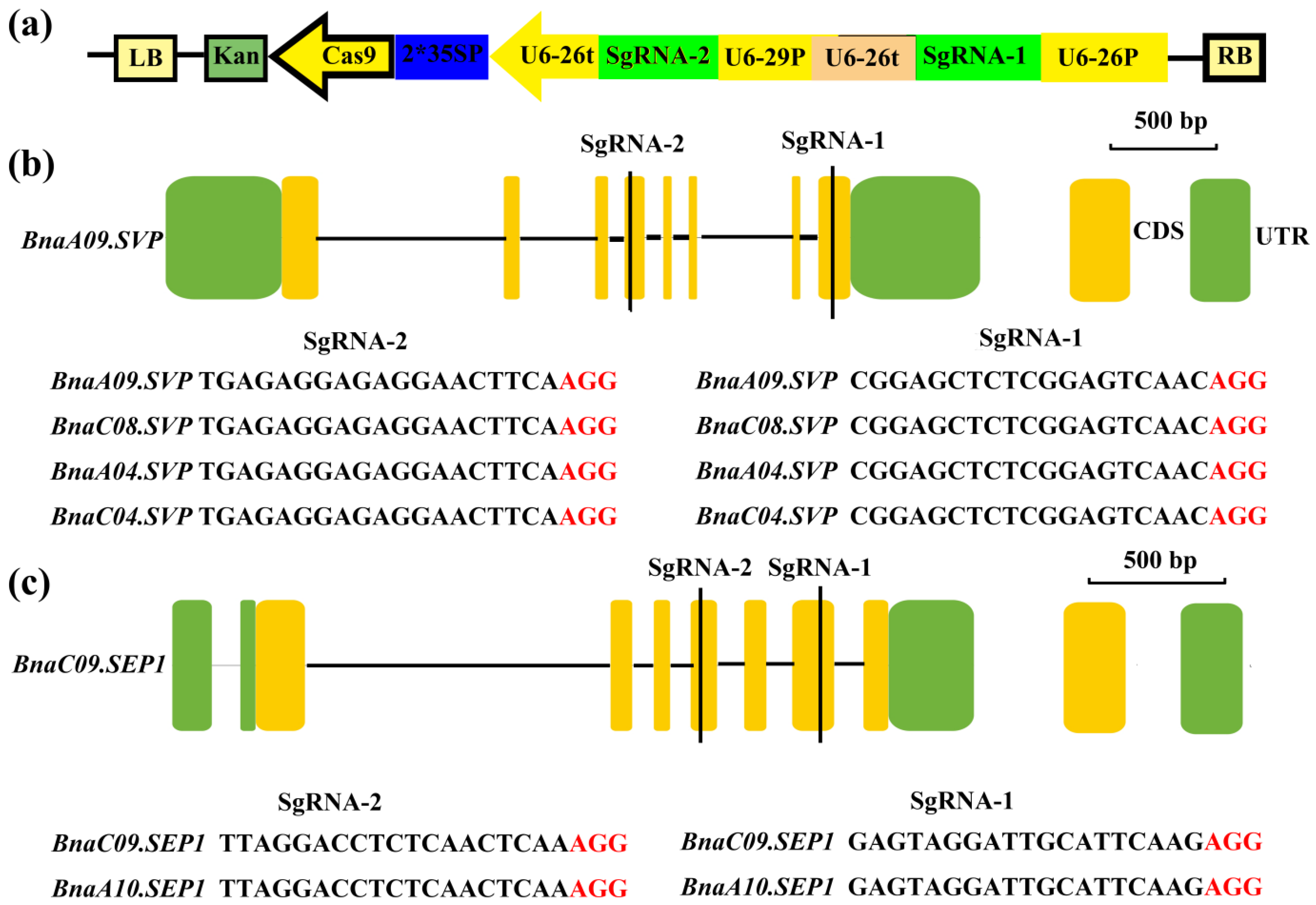 Ijms 23 04289 g005 550