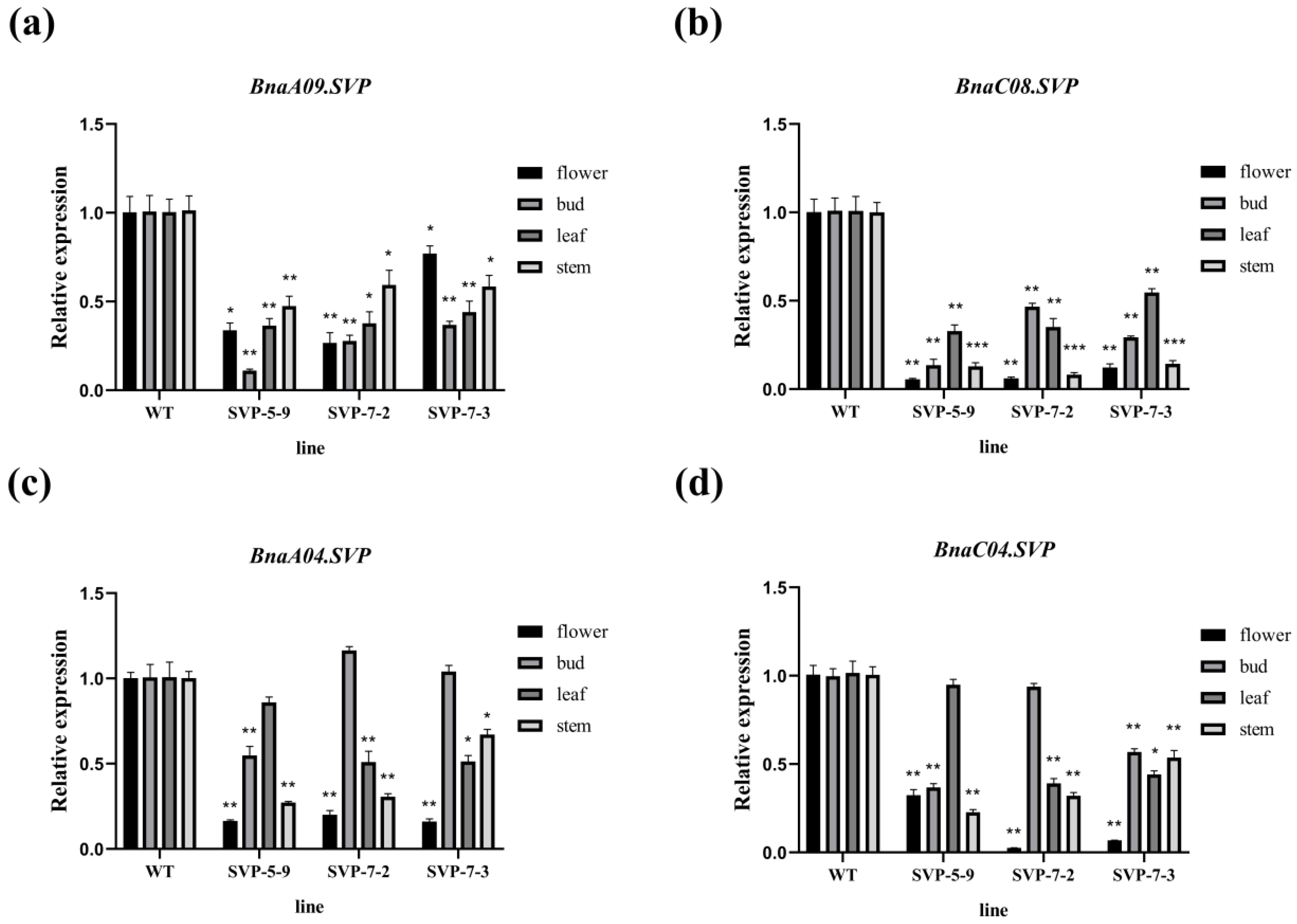Ijms 23 04289 g007 550