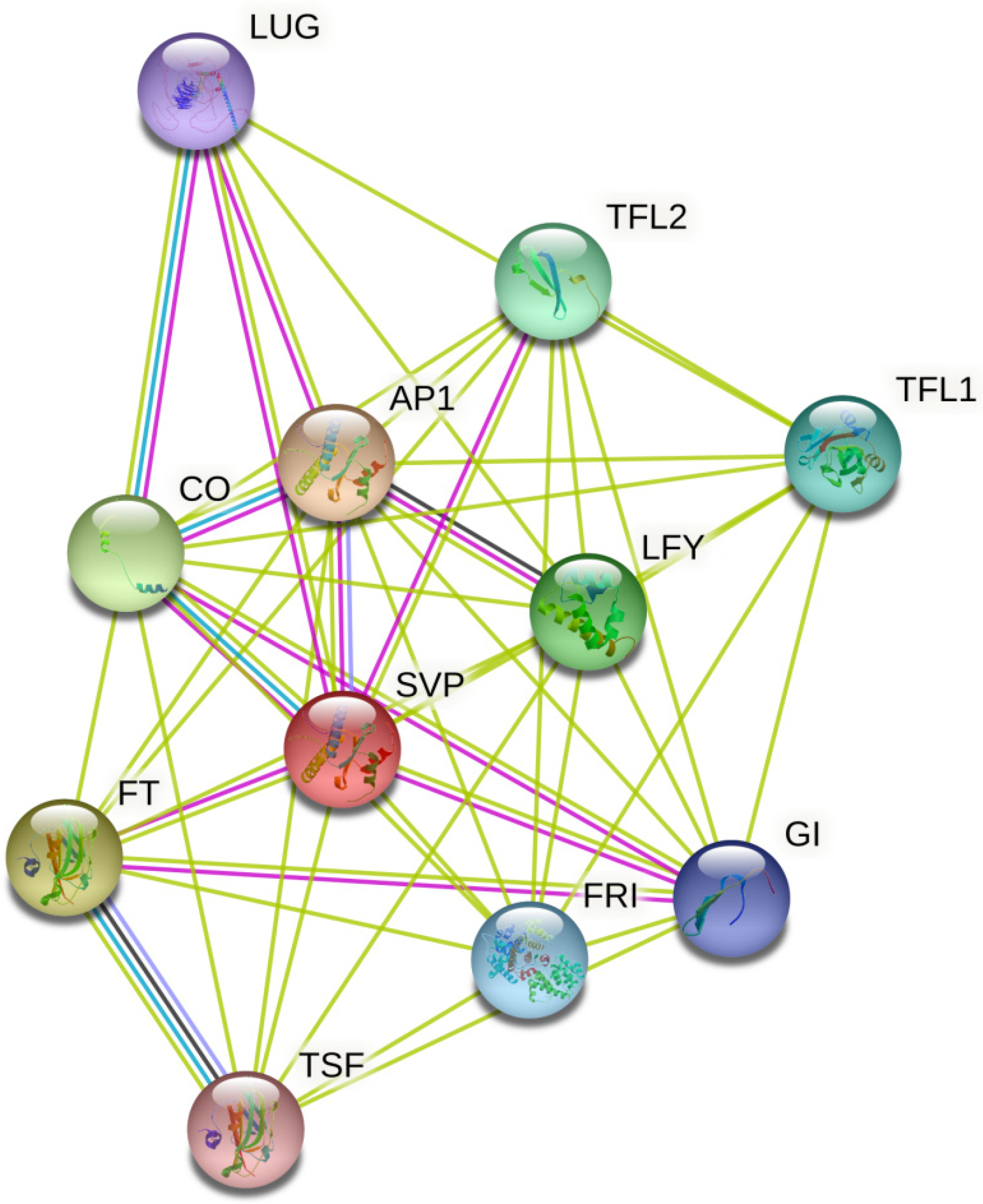 Ijms 23 04289 g010 550