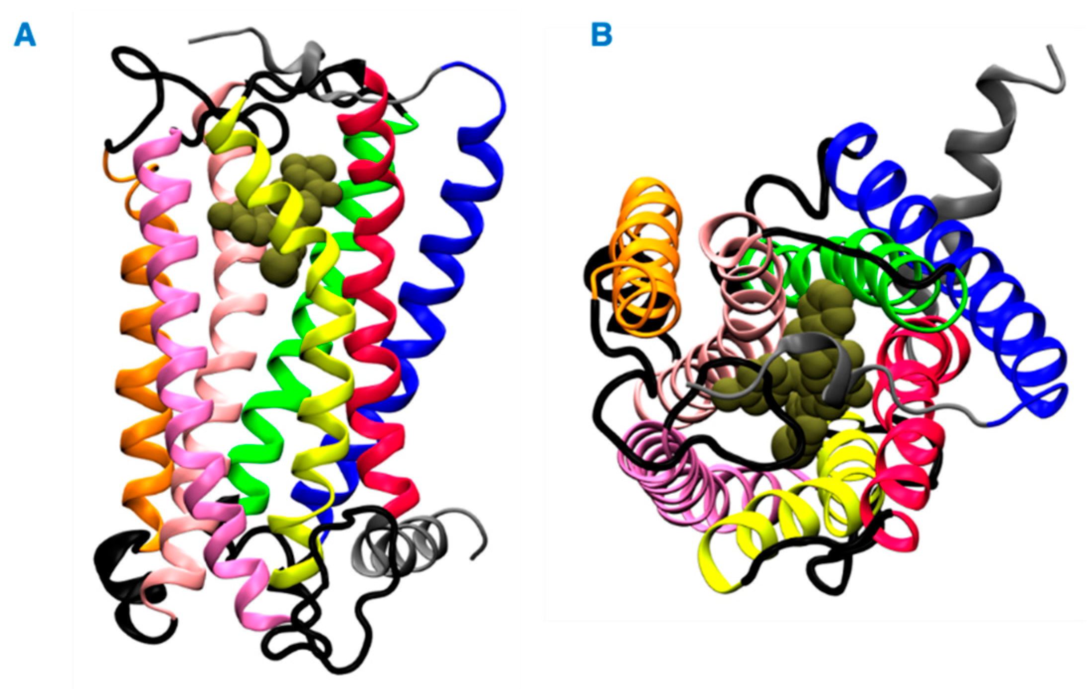 Ijms 23 04291 g001 550