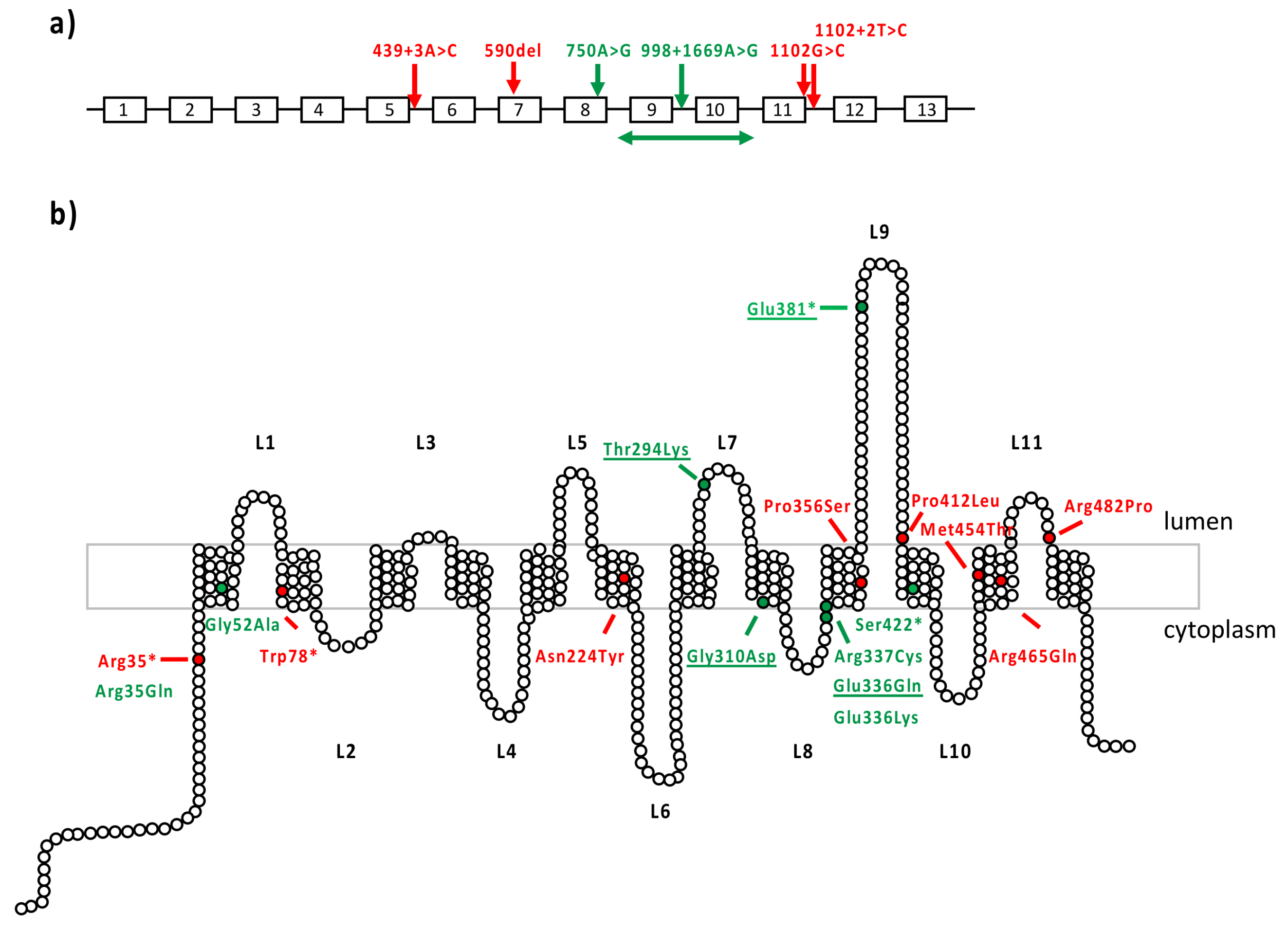 Ijms 23 04294 g003 550