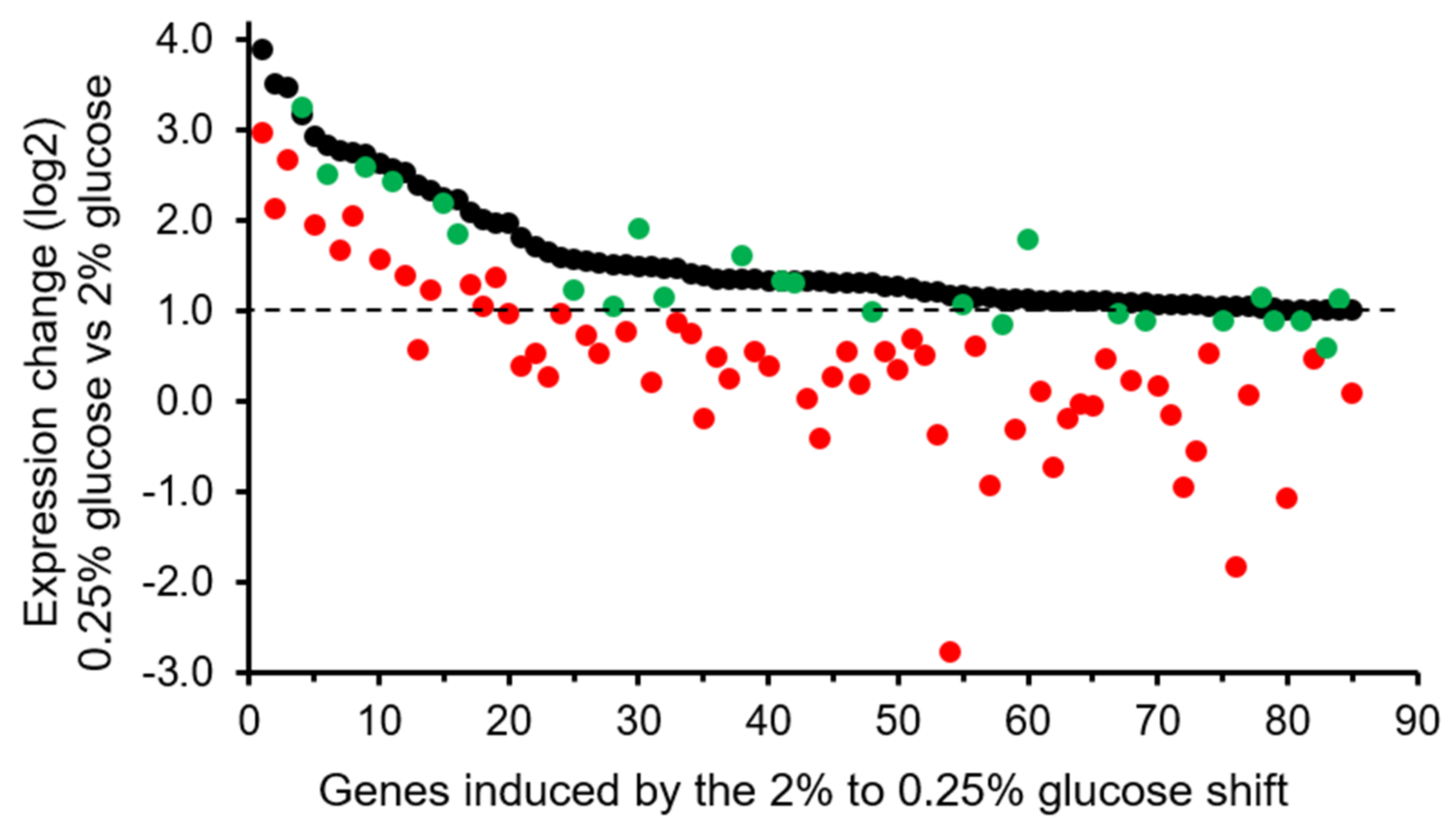 Ijms 23 04304 g001 Ijms 23 04304 g001