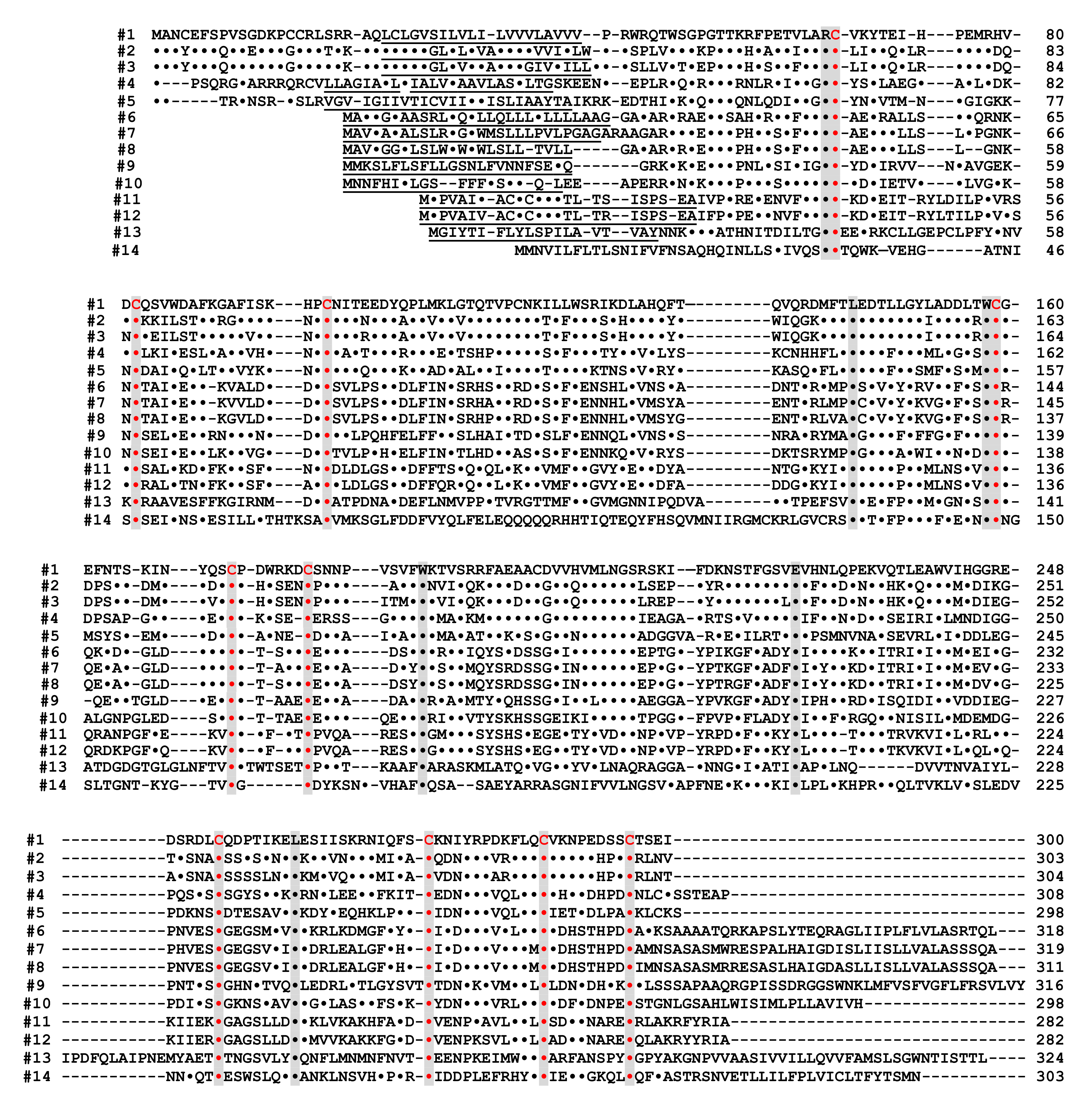 Ijms 23 04306 g004 Ijms 23 04306 g004