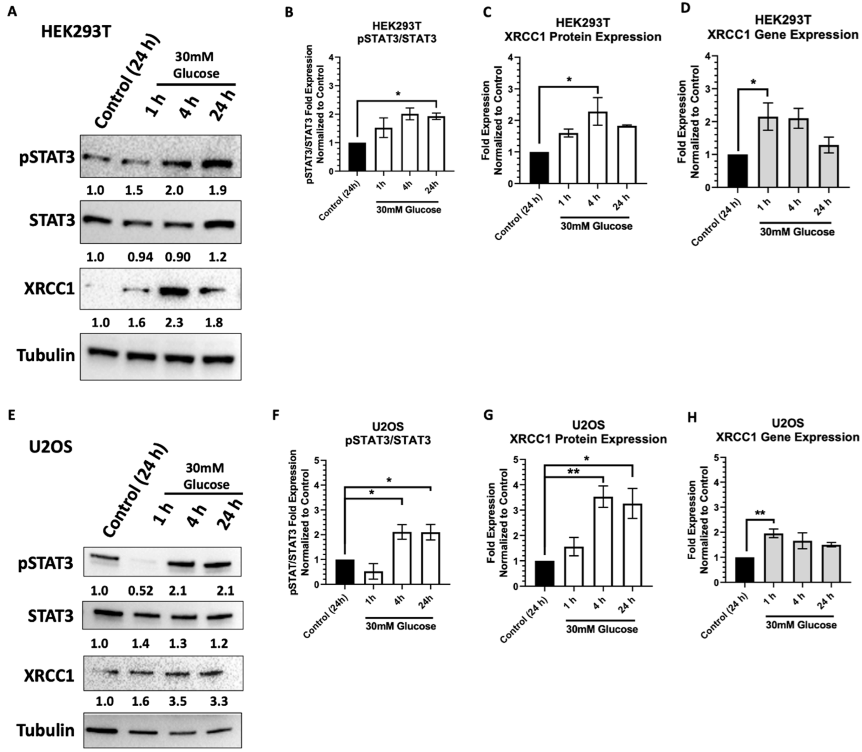 Ijms 23 04314 g001 550