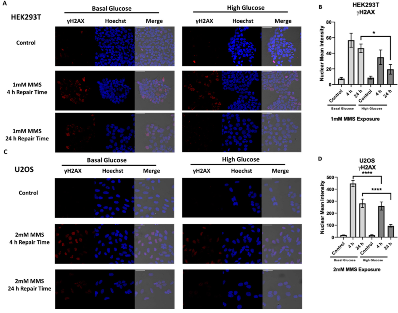Ijms 23 04314 g004 550