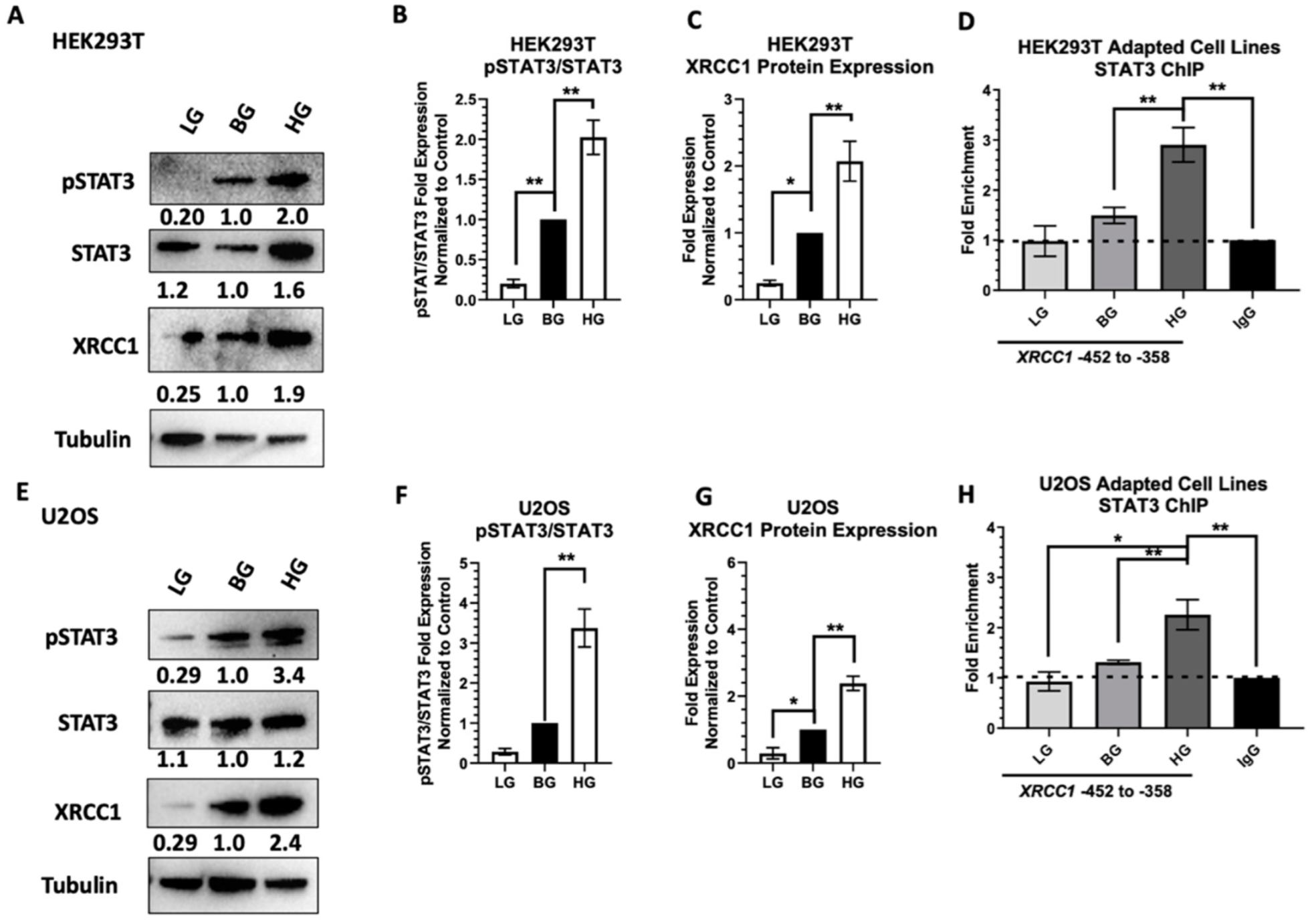 Ijms 23 04314 g006 550