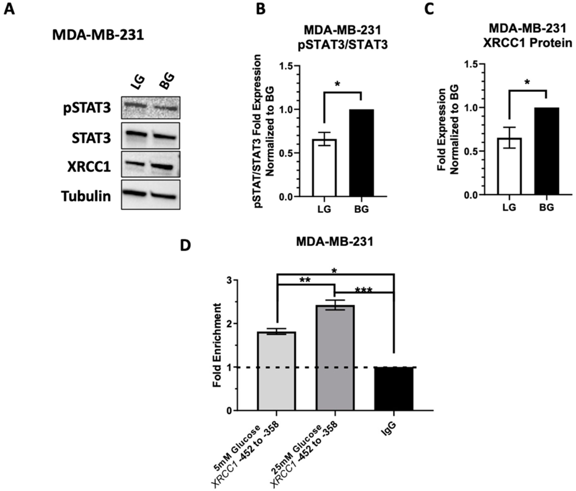 Ijms 23 04314 g007 550