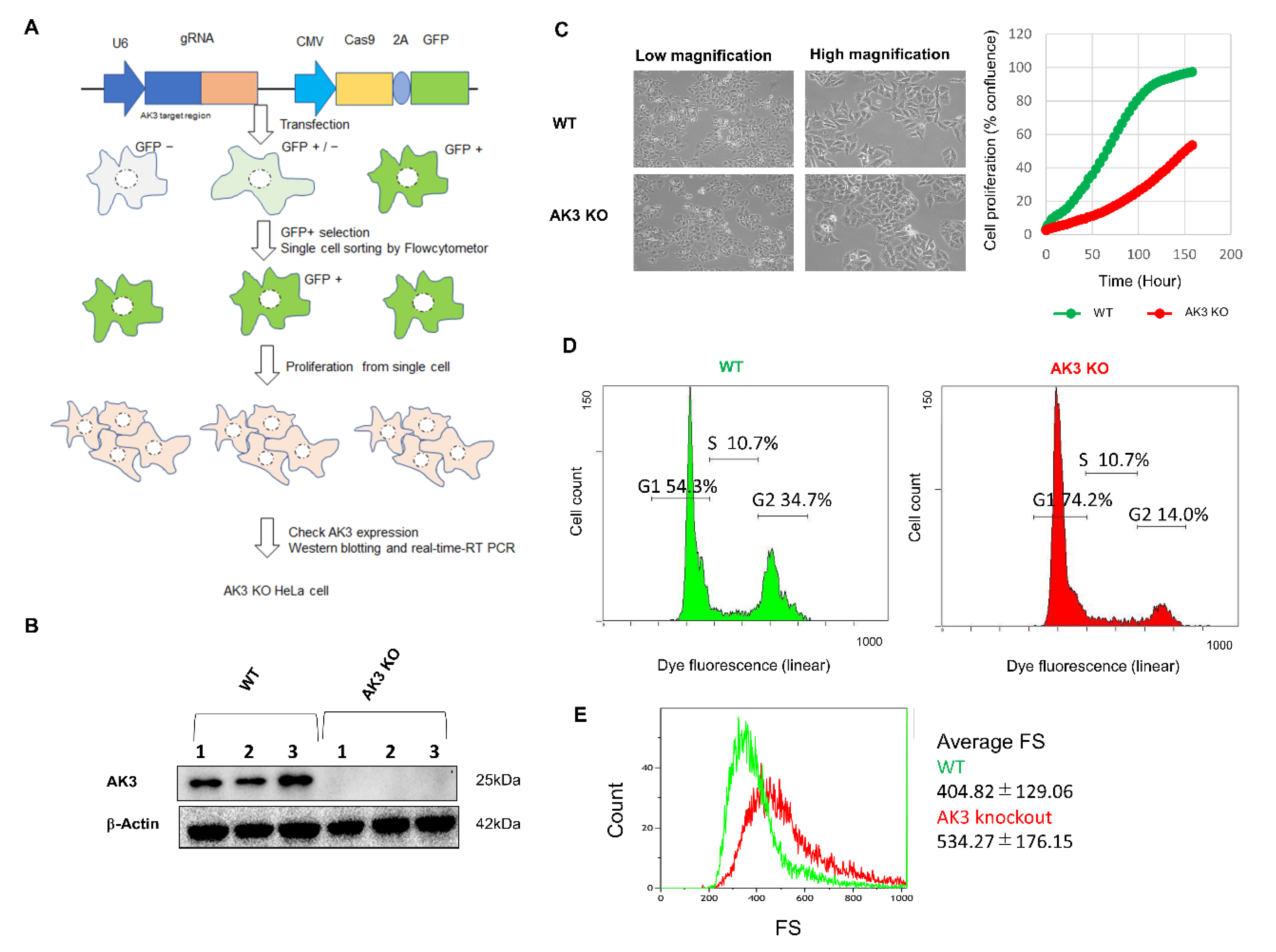 Ijms 23 04316 g001 550