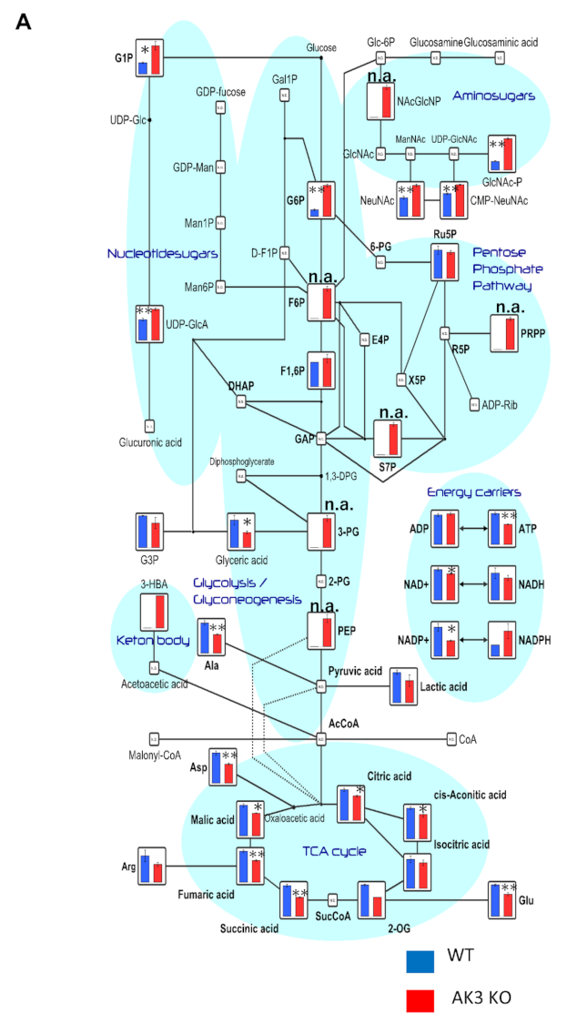 Ijms 23 04316 g003a 550