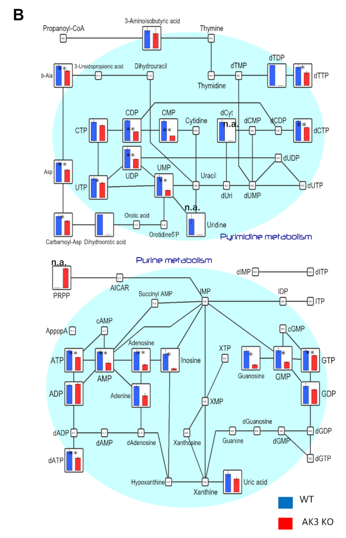 Ijms 23 04316 g003b 550