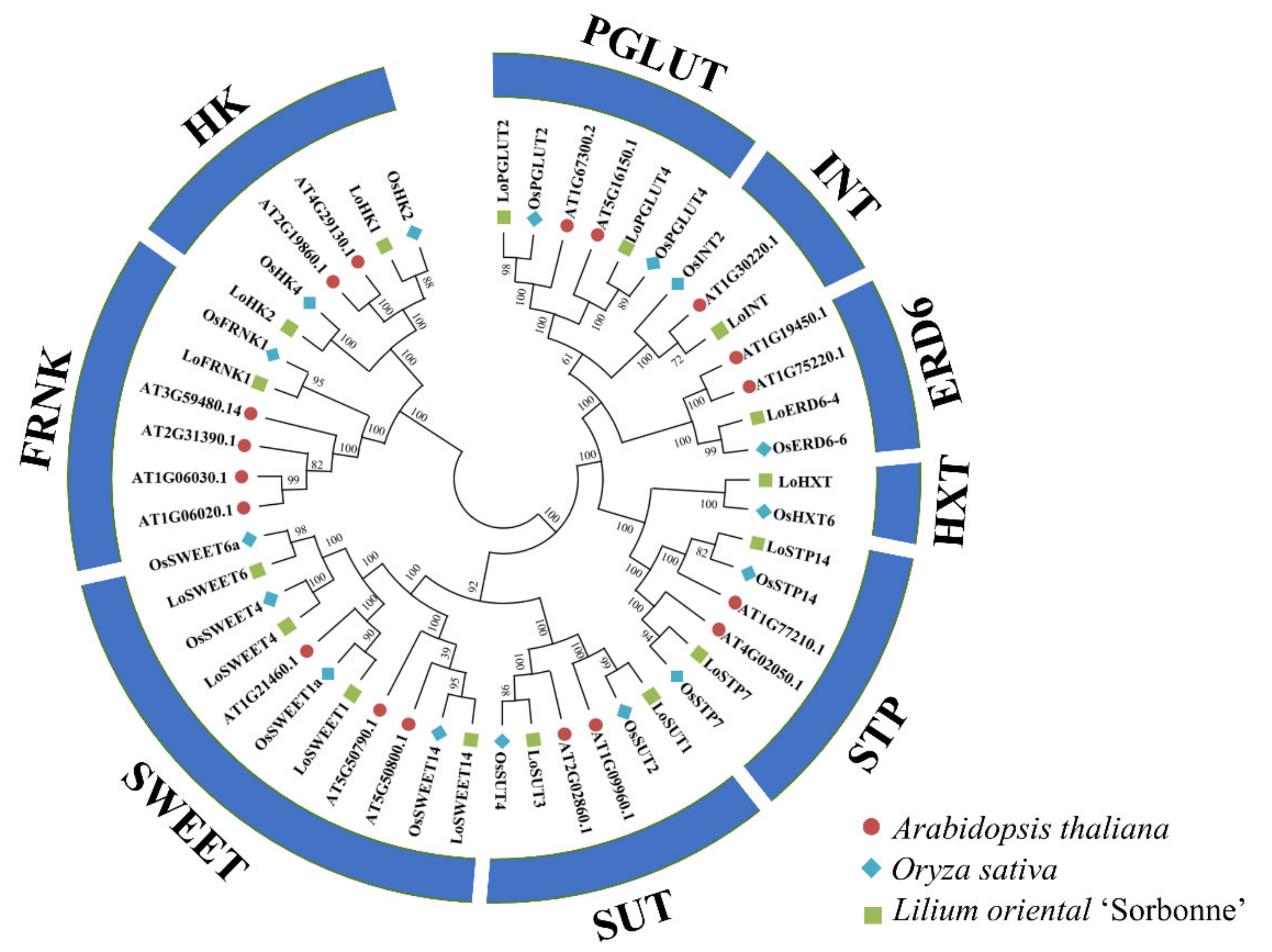 Ijms 23 04319 g002 550