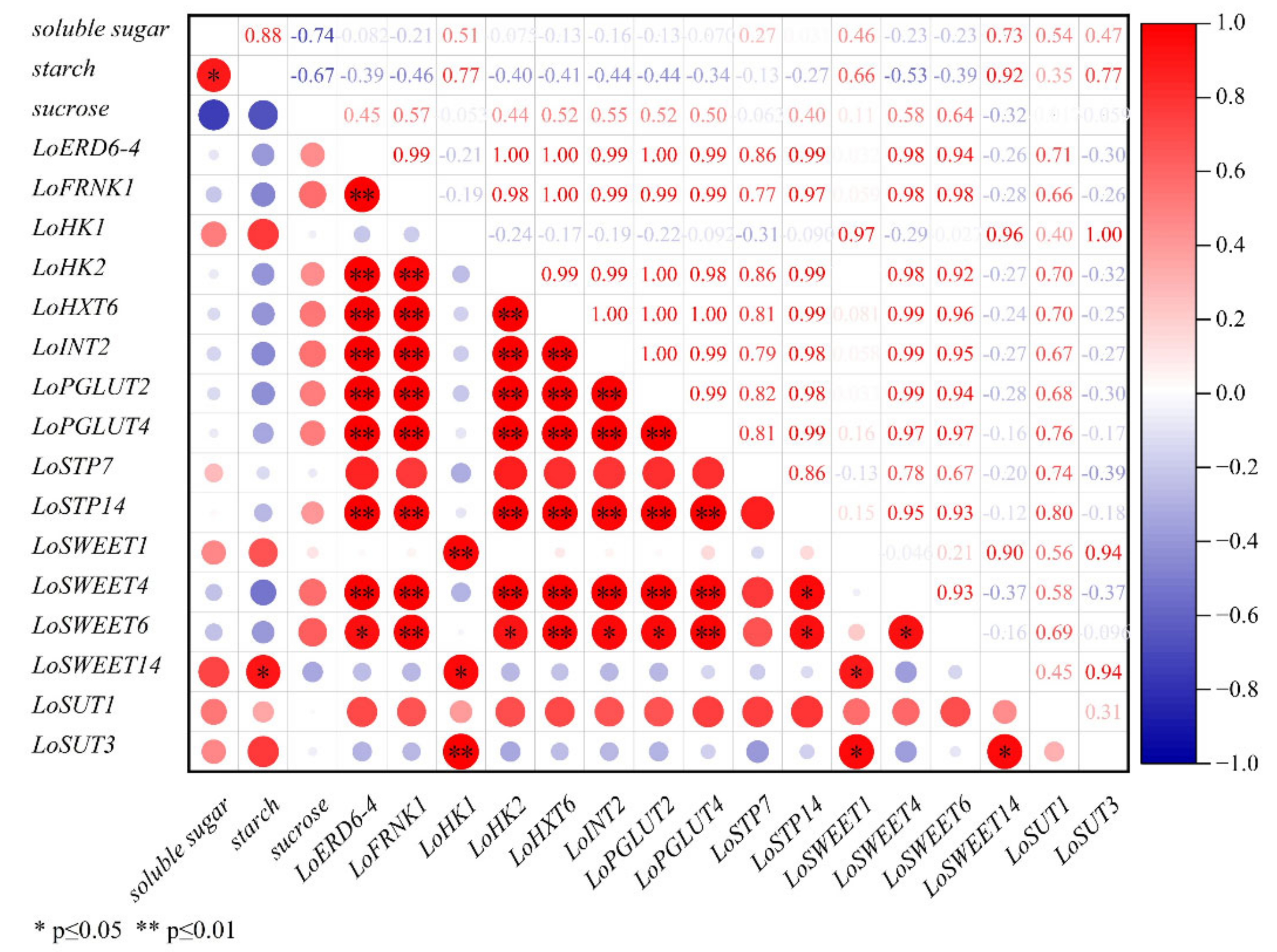 Ijms 23 04319 g006 550