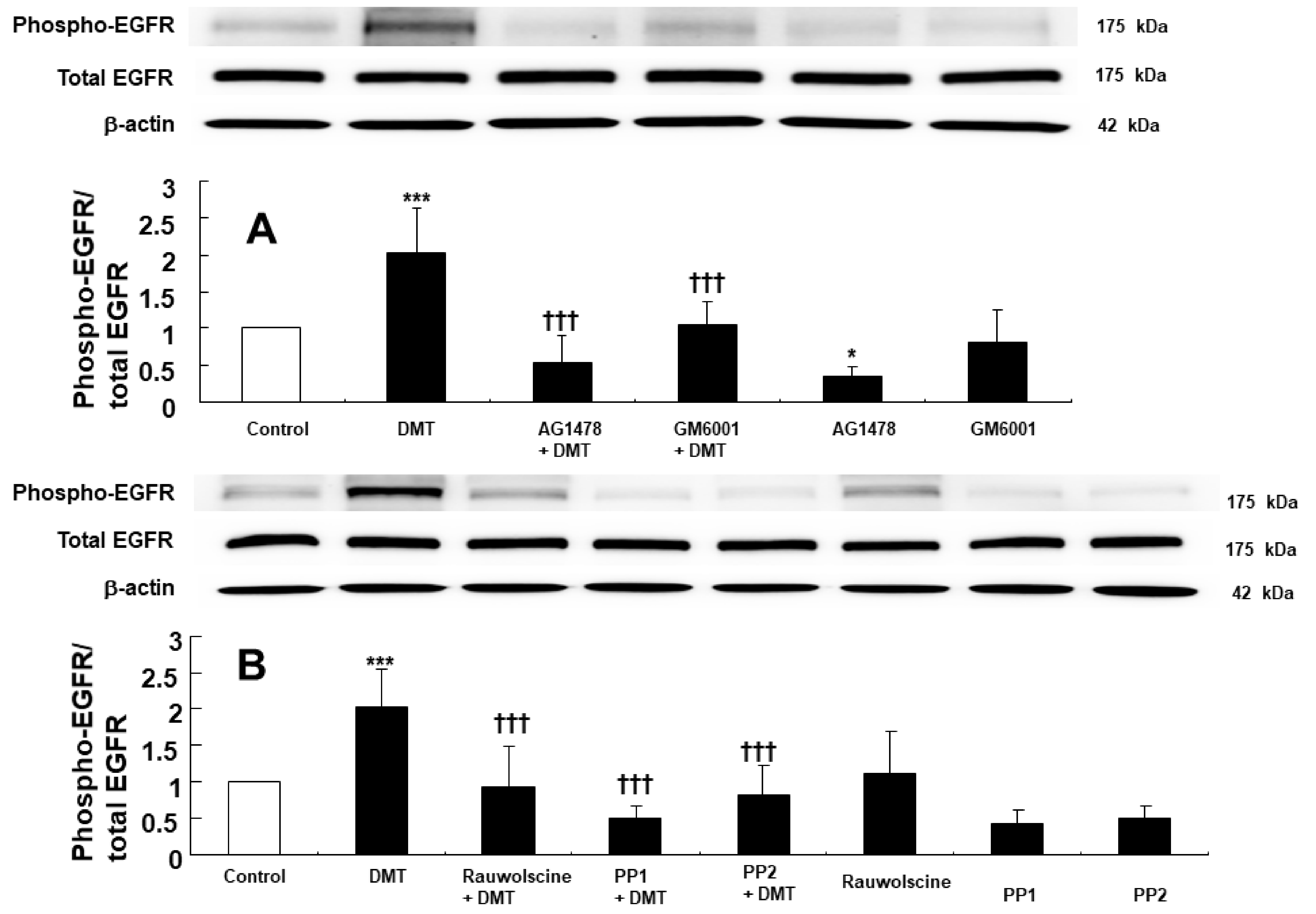 Ijms 23 04320 g003 550