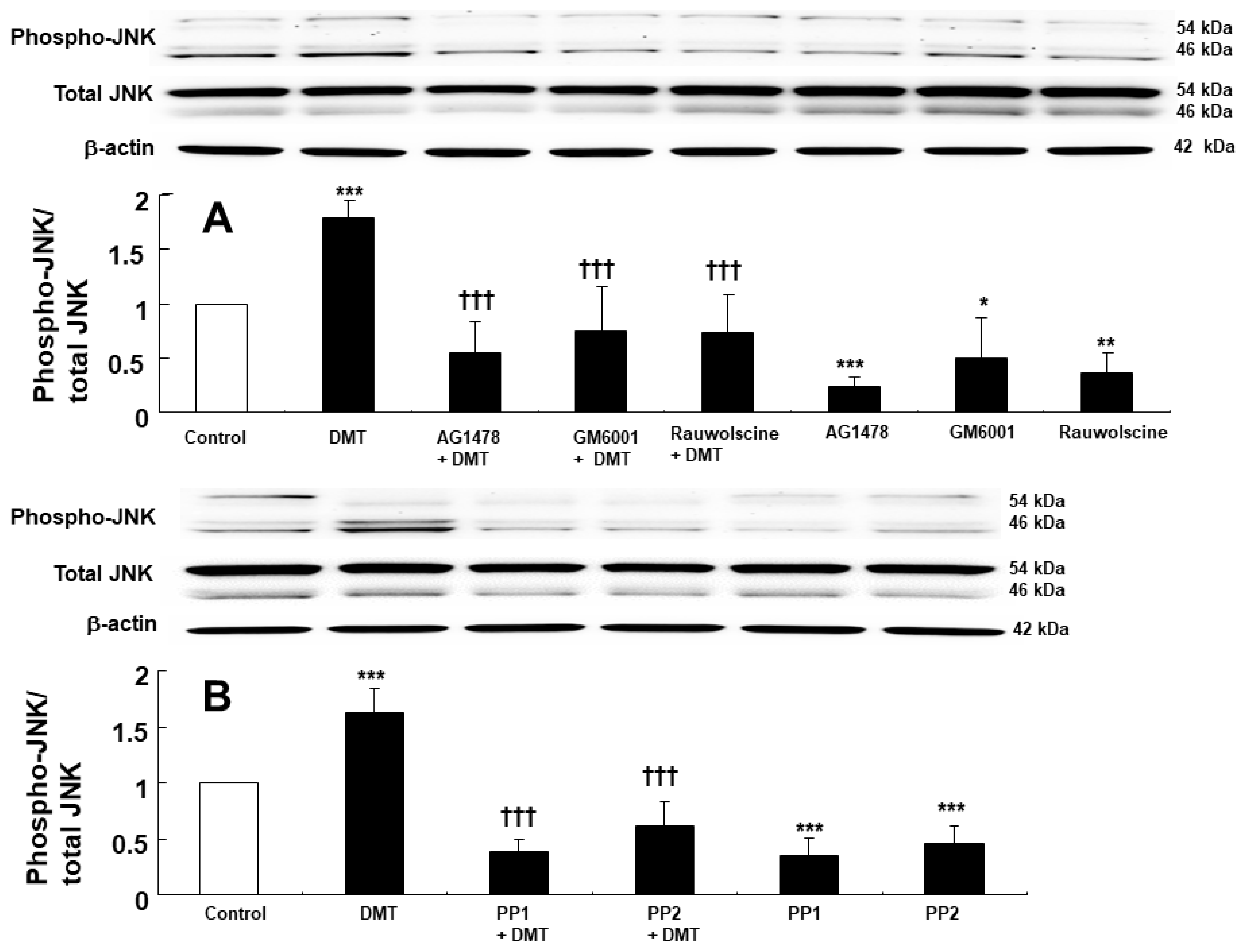 Ijms 23 04320 g004 550