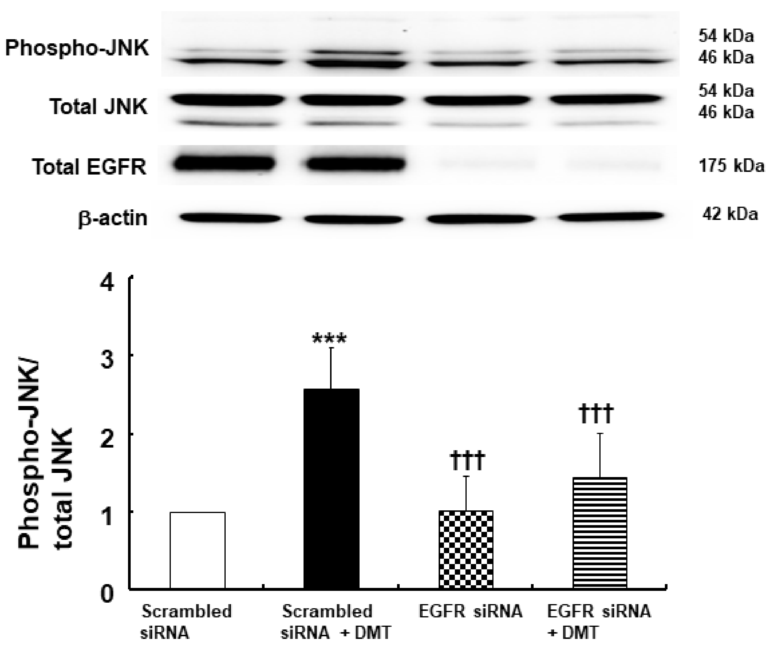 Ijms 23 04320 g005 550