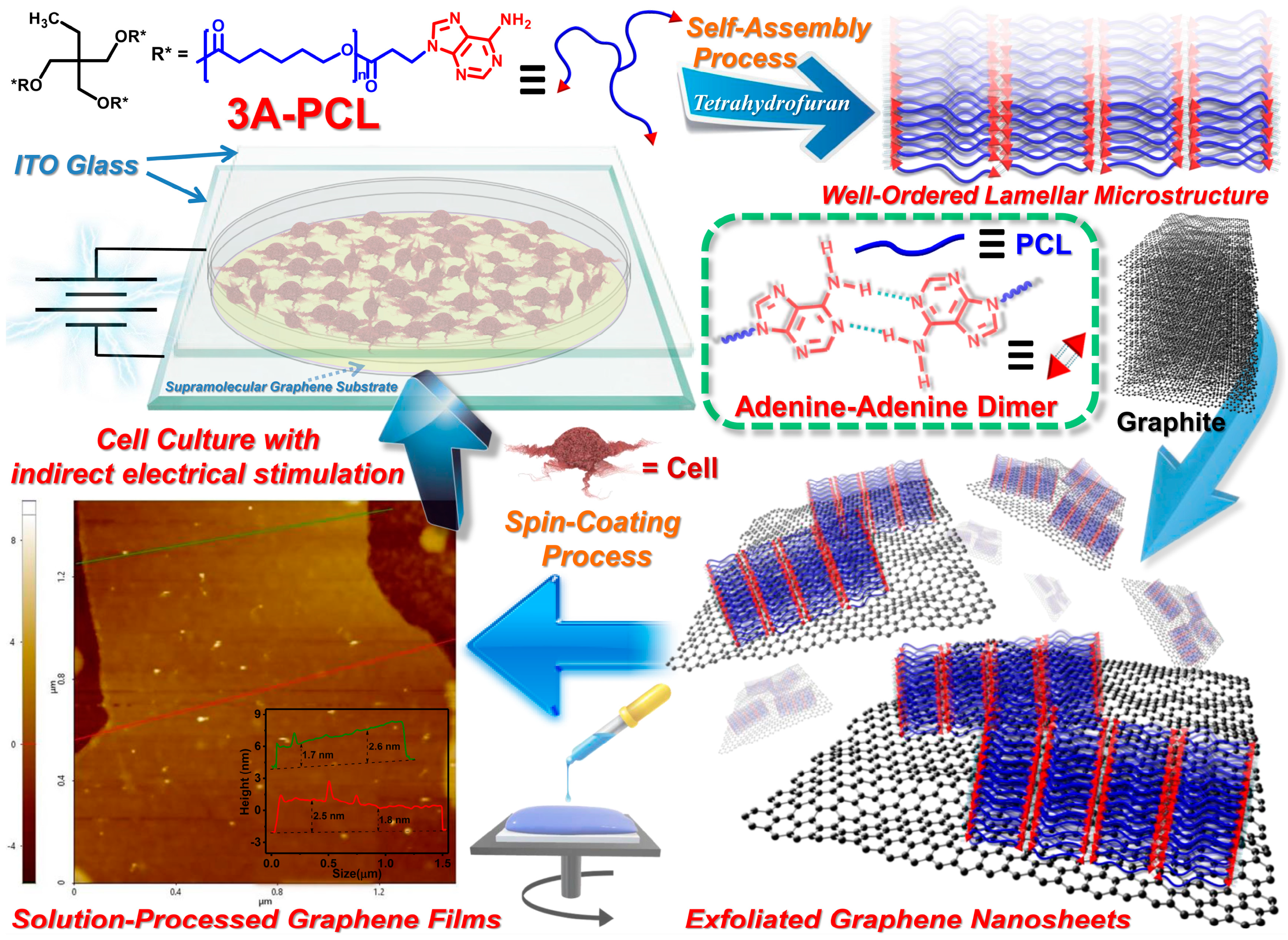 Ijms 23 04332 sch001 550