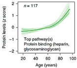 Ijms 23 04338 i001 Ijms 23 04338 i001