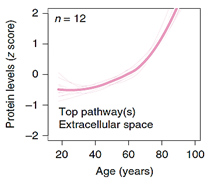 Ijms 23 04338 i003 Ijms 23 04338 i003