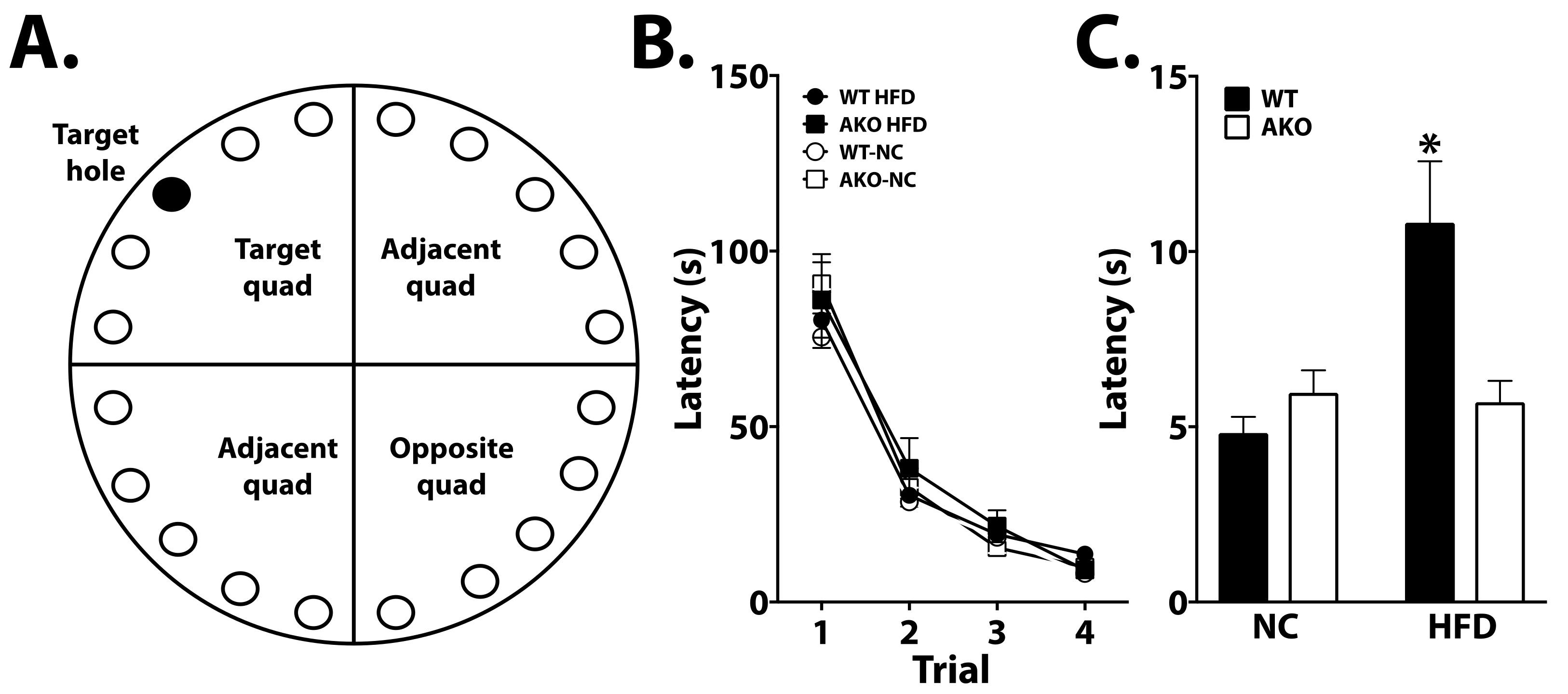 Ijms 23 04354 g003 Ijms 23 04354 g003