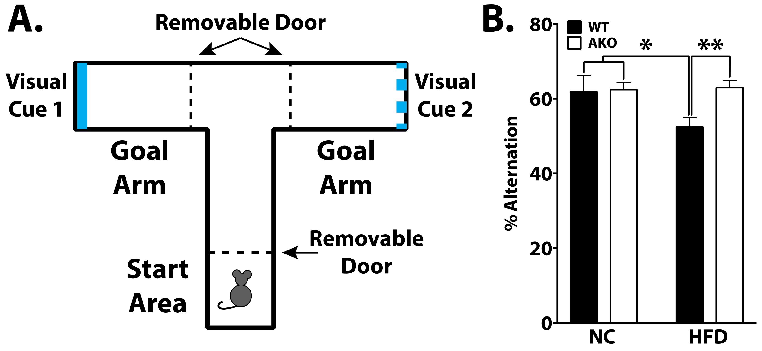 Ijms 23 04354 g004 Ijms 23 04354 g004