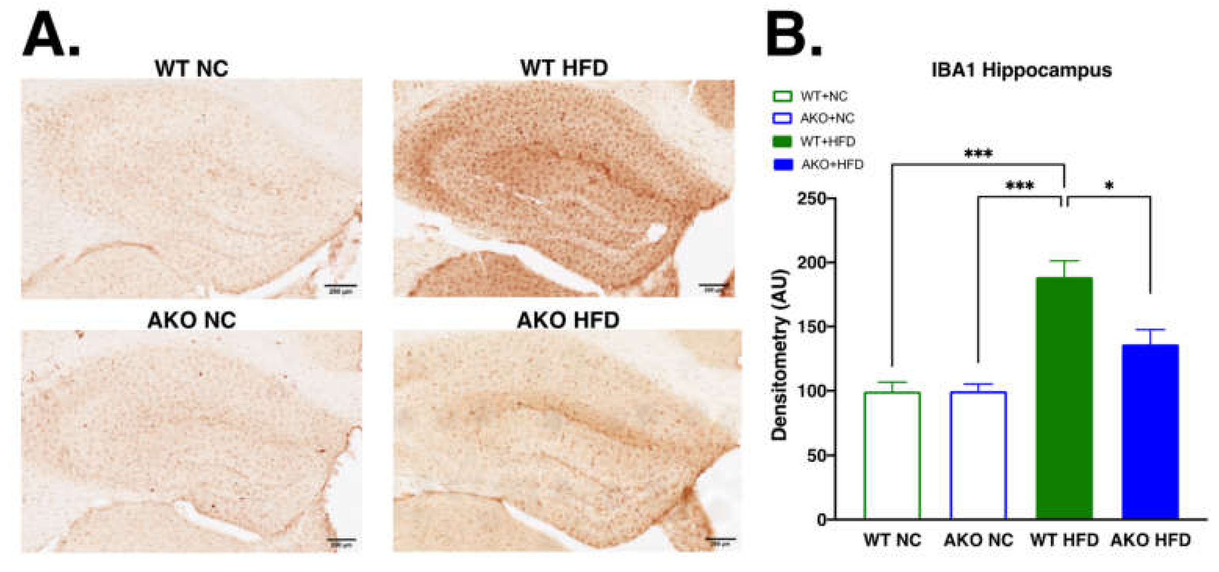 Ijms 23 04354 g005 Ijms 23 04354 g005