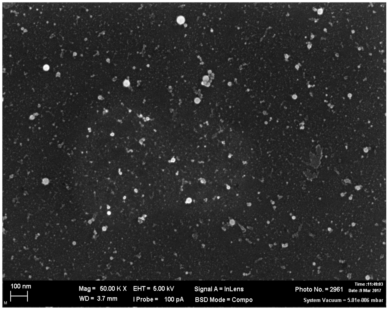 Ijms 23 04356 g009 550