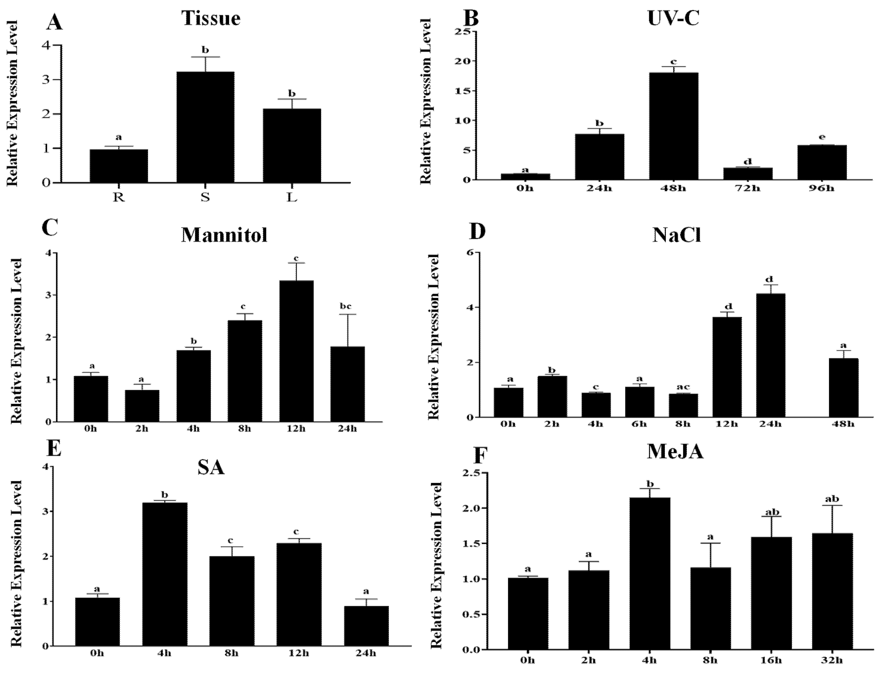 Ijms 23 04357 g002 Ijms 23 04357 g002
