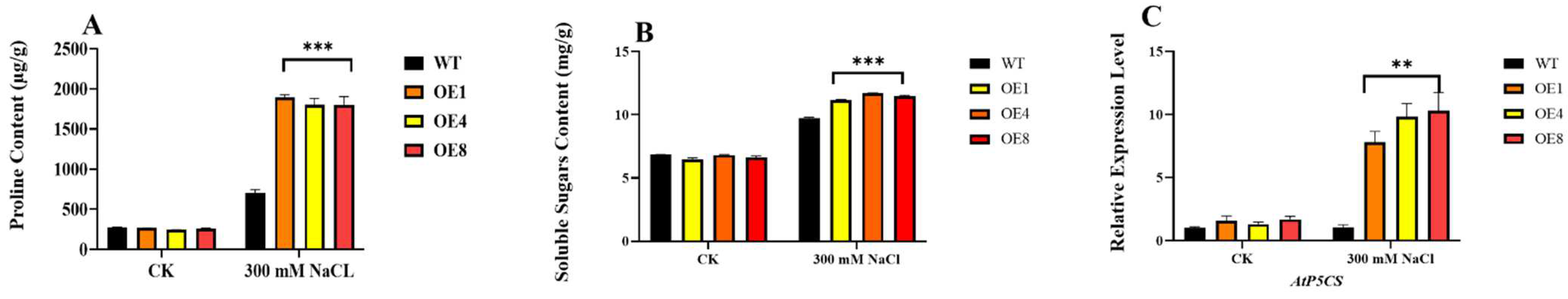 Ijms 23 04357 g006 Ijms 23 04357 g006
